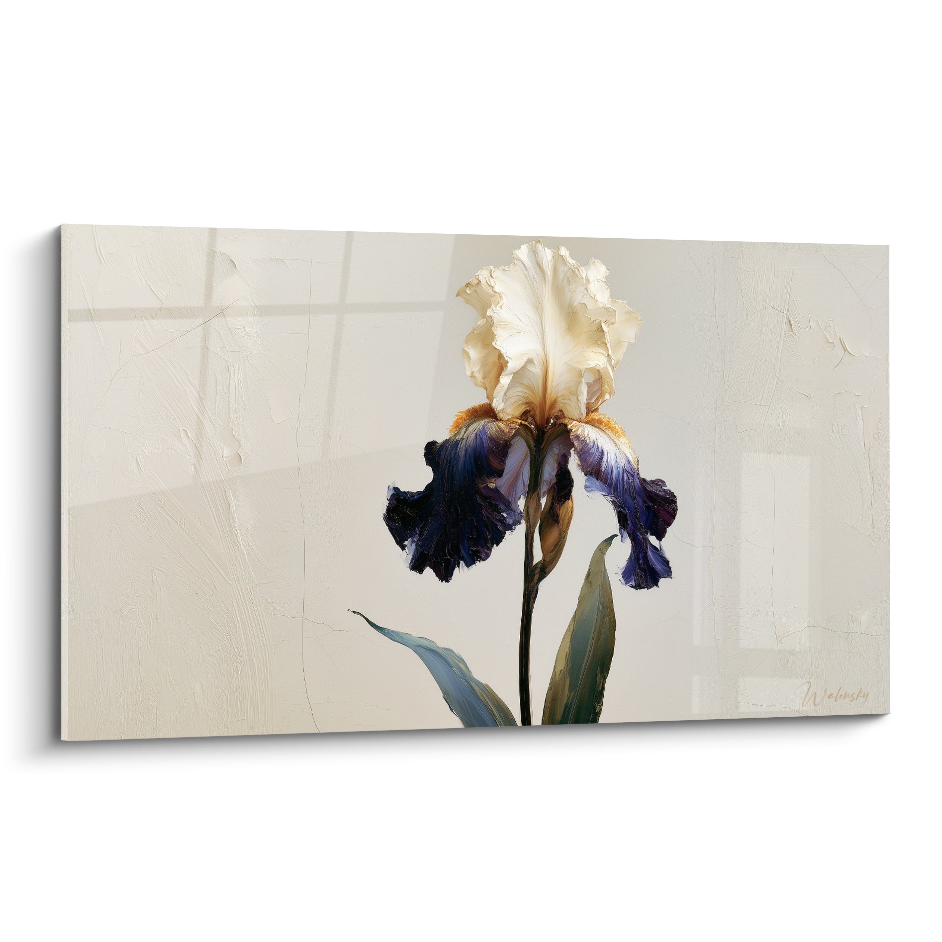 Iris ivoire aux pétales violet nuit et reflets ocre, fond beige texturé peint
