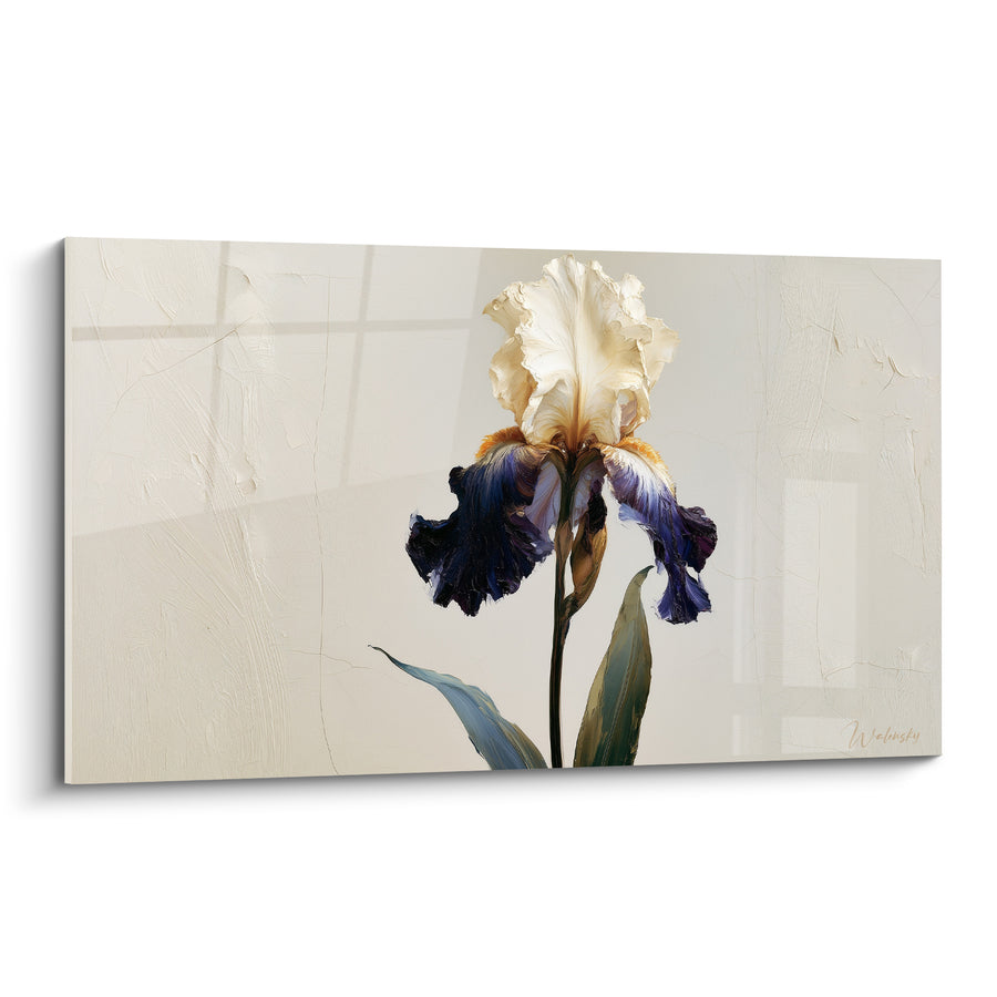 Tableau Iris ivoire et bleu marine sur fond quadrillé - Pétales retombants solitaires - Edition Iris