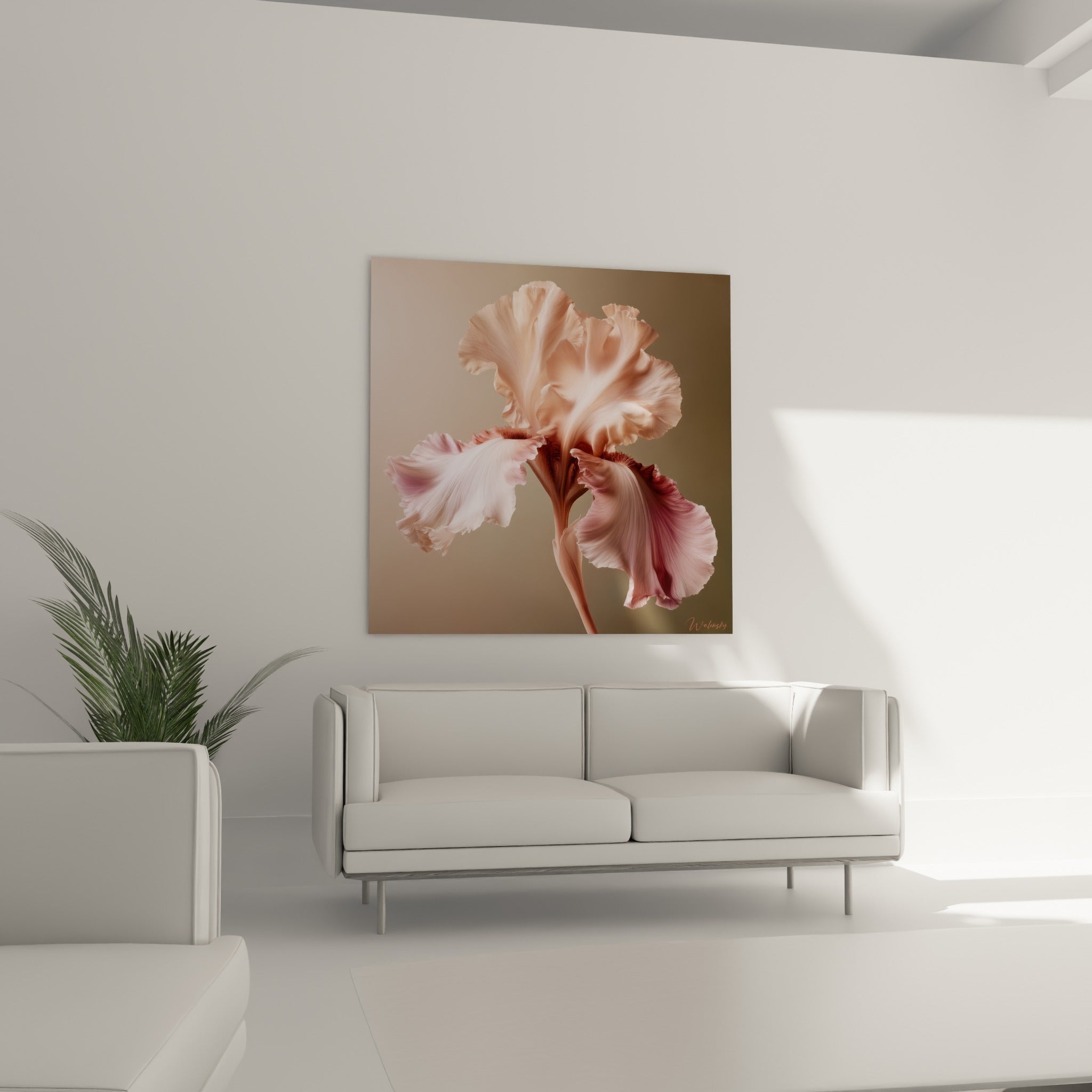 Pétales d'iris rose poudré et pêche translucide déployés, accrochés au-dessus d'un canapé dans un salon lumineux