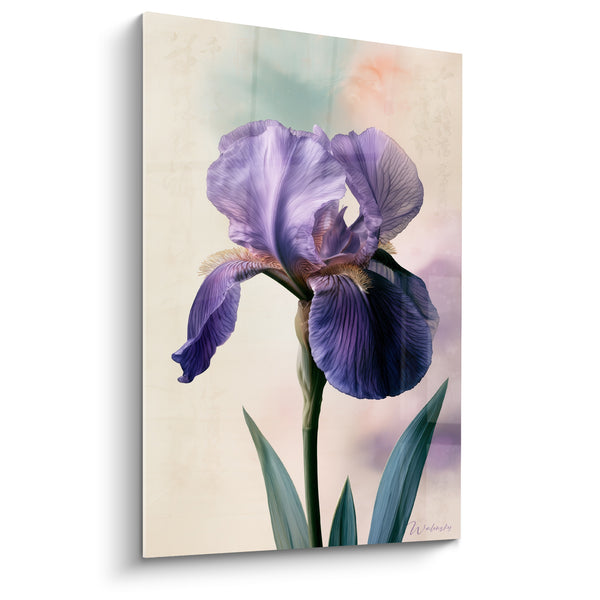 Tableau Iris violet aux feuilles vert sauge - Grâce florale - Edition Iris