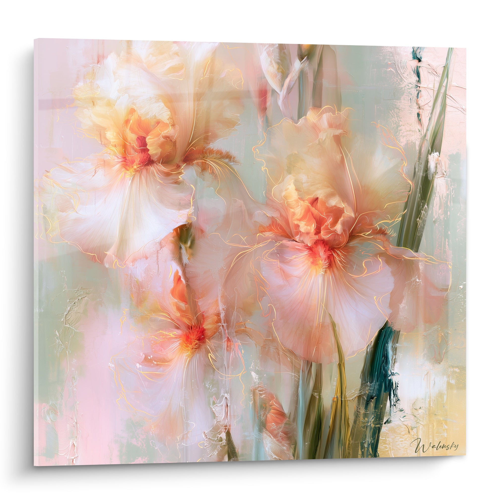 Iris blancs aux nervures dorées et cœurs orangés sur fond vert sauge, style aquarelle