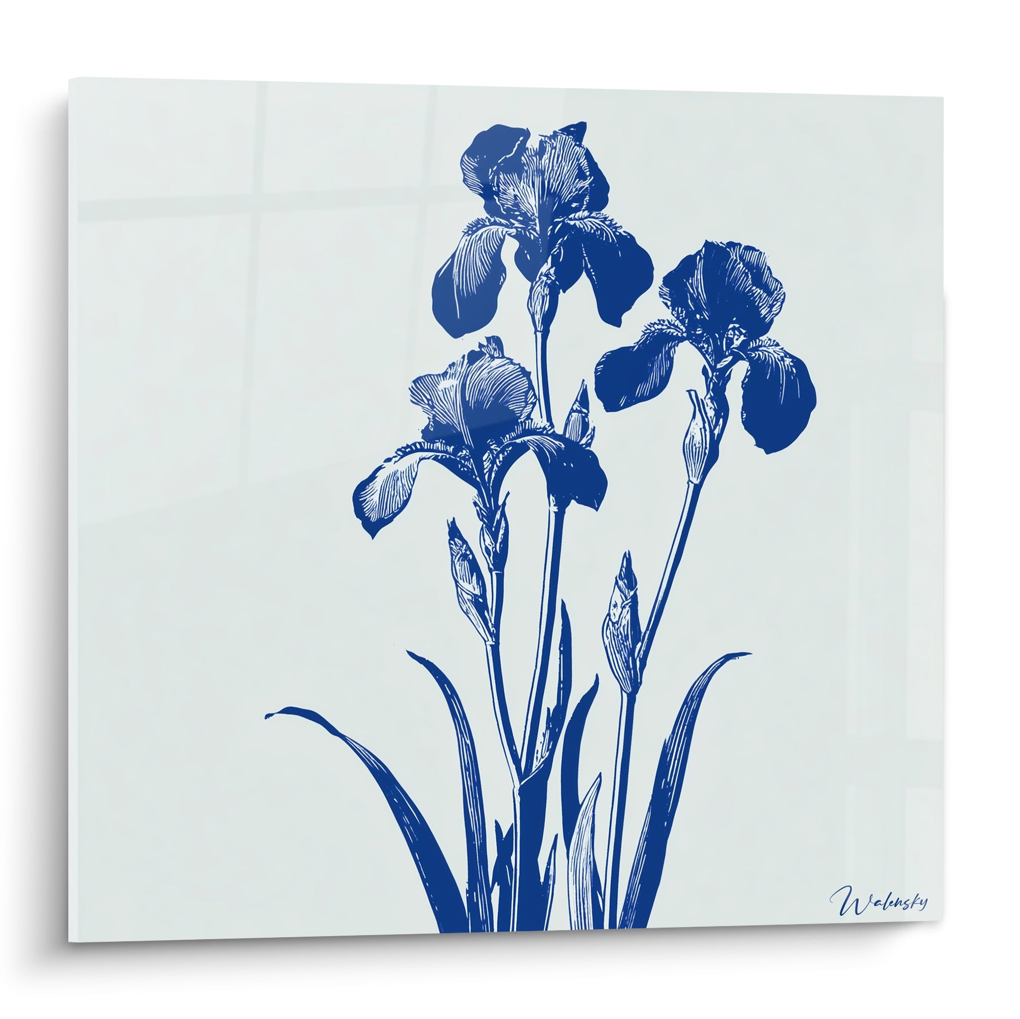 Iris bleu marine finement dessinés sur fond blanc cassé, trois fleurs et boutons en pleine floraison