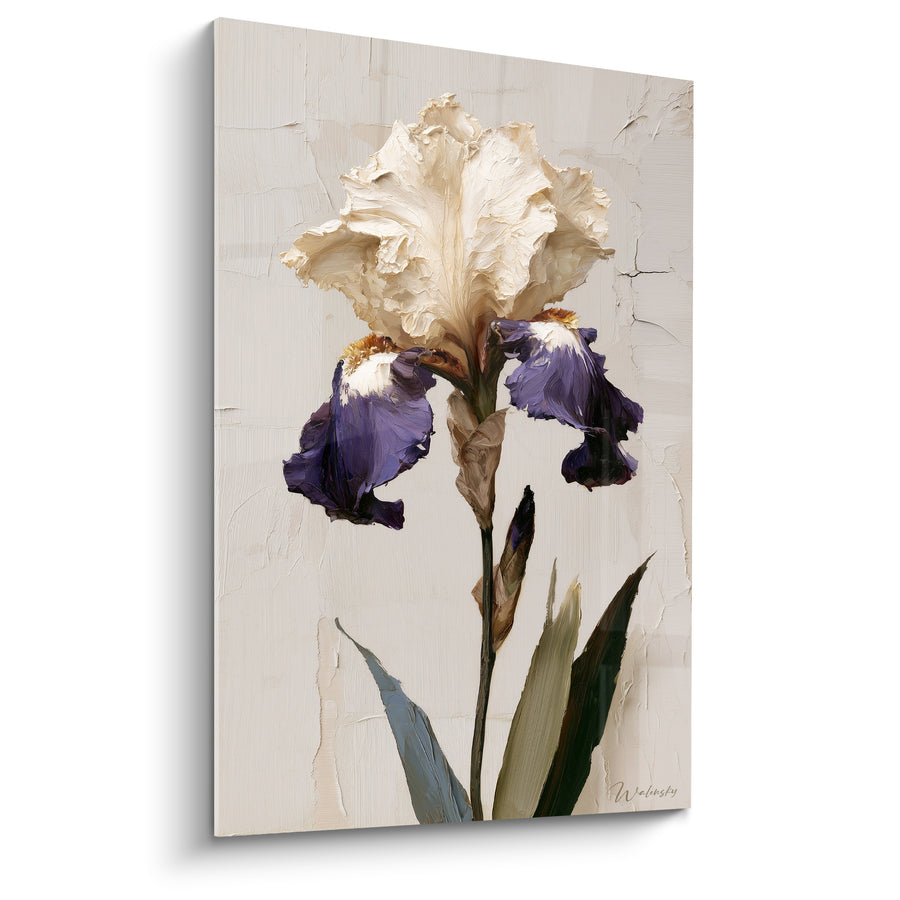 Tableau Iris ivoire et violet aux pétales froissés - Fond craquelé texturé - Edition Iris