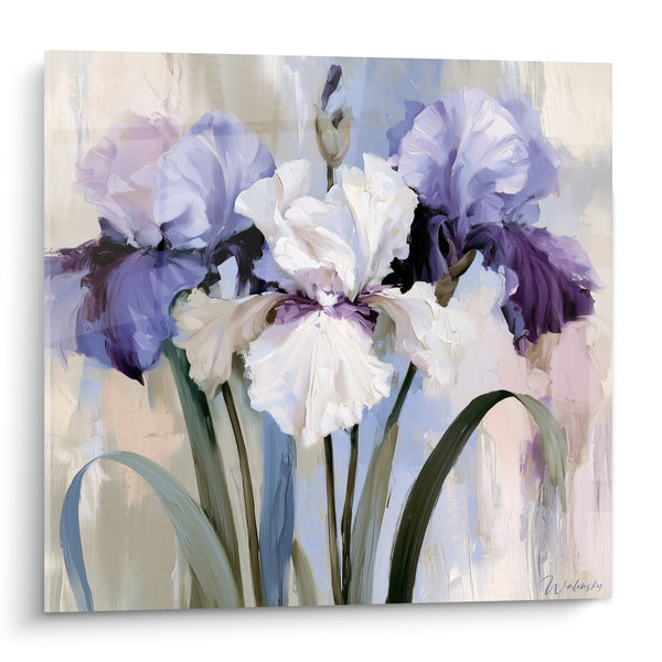 Tableau Iris mauve et blanc à pétales froissés - Rosée matinale - Edition Iris