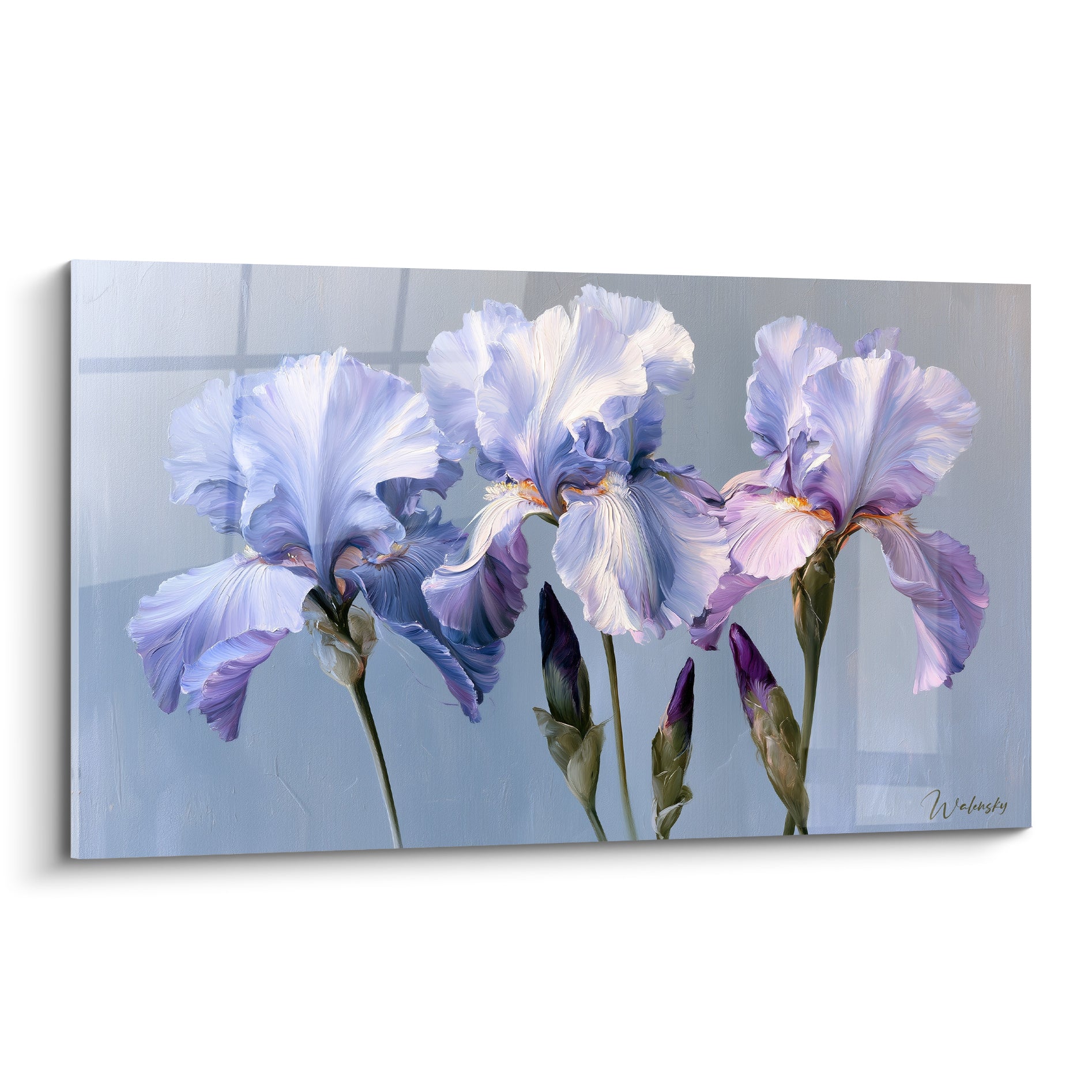 Iris mauve et bleu poudré aux pétales froissés peints sur fond argenté lumineux