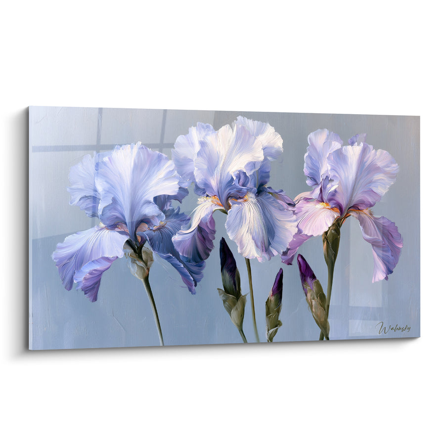 Tableau Iris mauve et gris à trois têtes ouvertes - Boutons pourpres serrés - Edition Iris