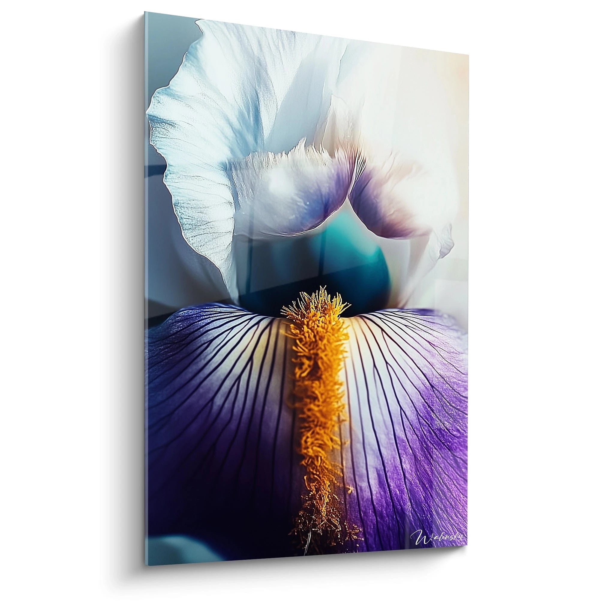 Un tableau Iris nature capturant un gros plan d’une fleur d’iris avec des pétales blancs et violets, un pistil jaune texturé et un fond flou aux nuances de bleu.

