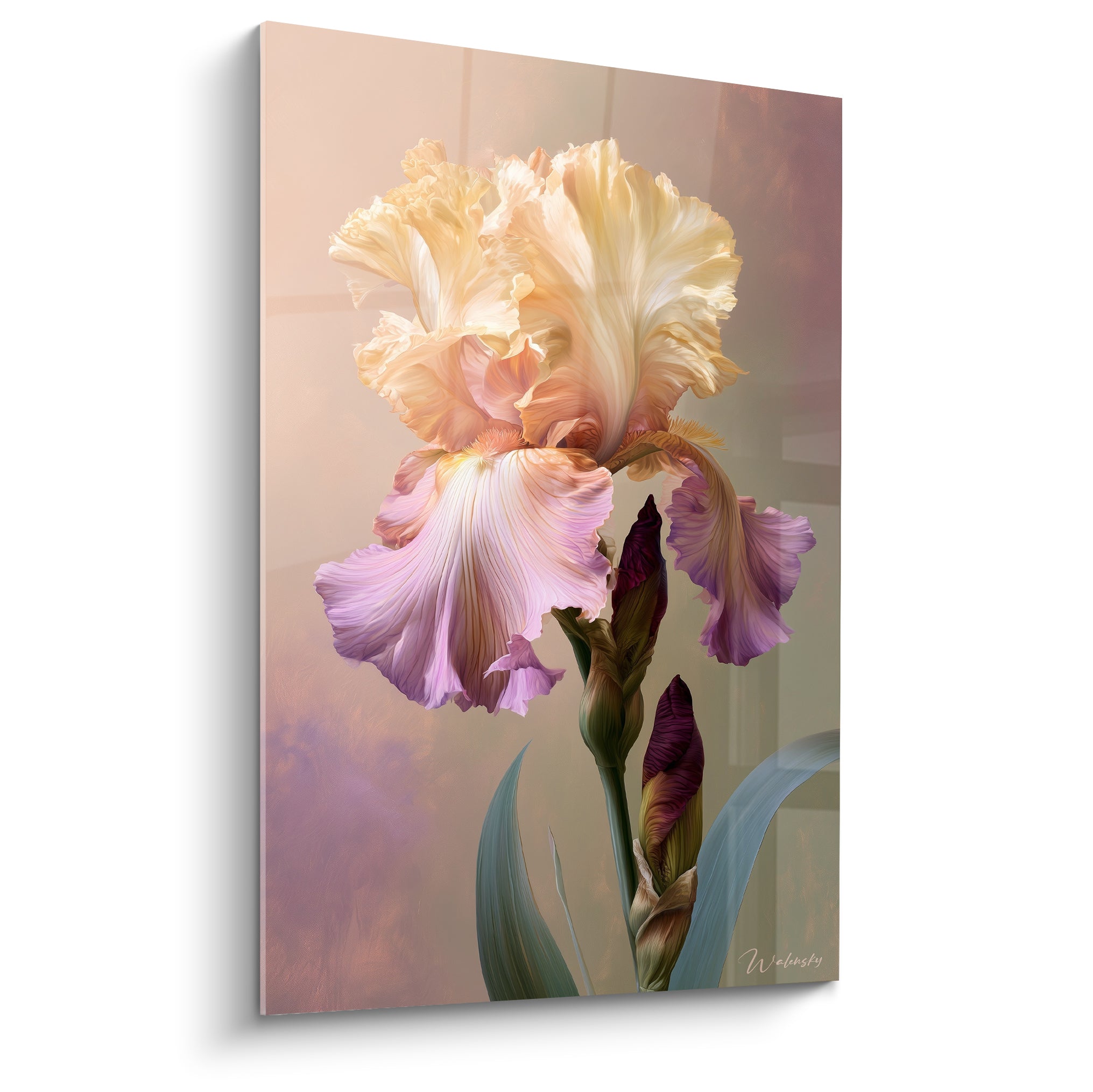 Iris aux pétales crème et mauve déployés, fond ocre vaporeux, style peint minutieux