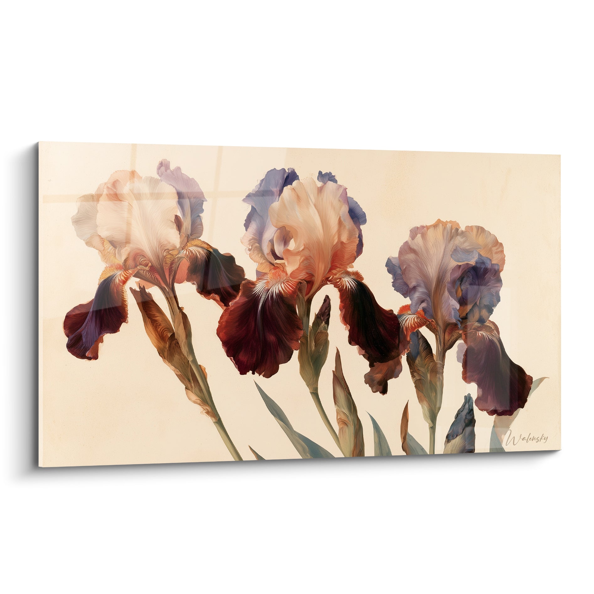 Iris bordeaux et lavande peints en trois hampes florales sur fond ivoire lumineux