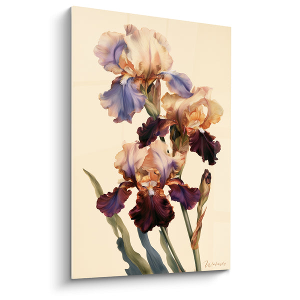 Tableau Iris pourpre et lavande aux pétales superposés - Trio de fleurs ivoire - Edition Iris