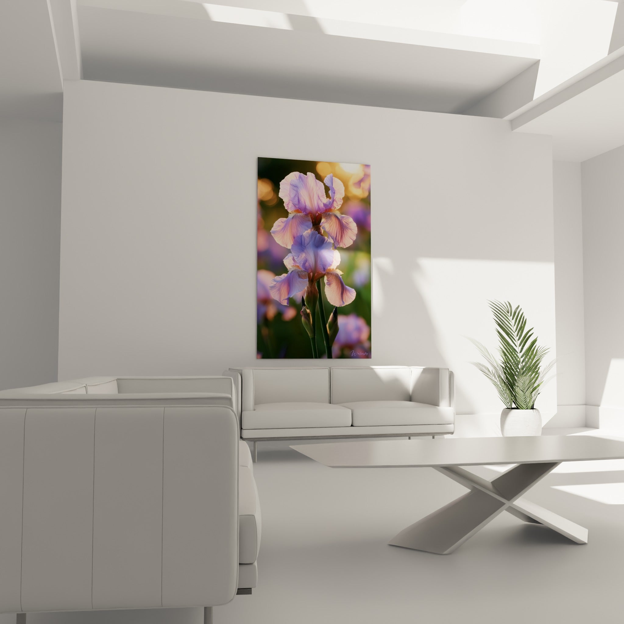 Pétales d'iris rose et violet, tiges vertes, au-dessus d'un canapé dans un salon lumineux