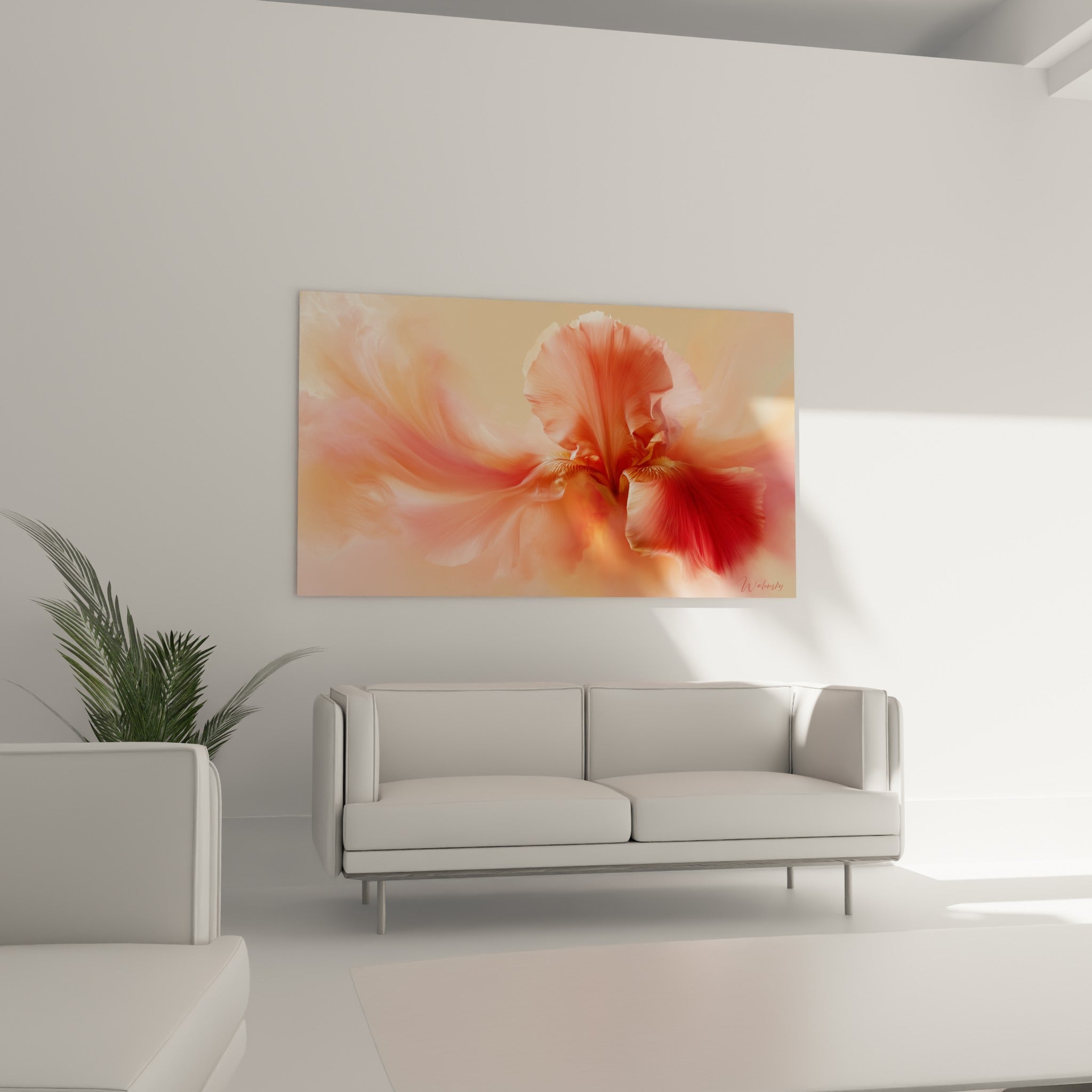 Pétales d'iris rouge et pêche en volutes délicates, au-dessus d'un canapé dans un salon lumineux