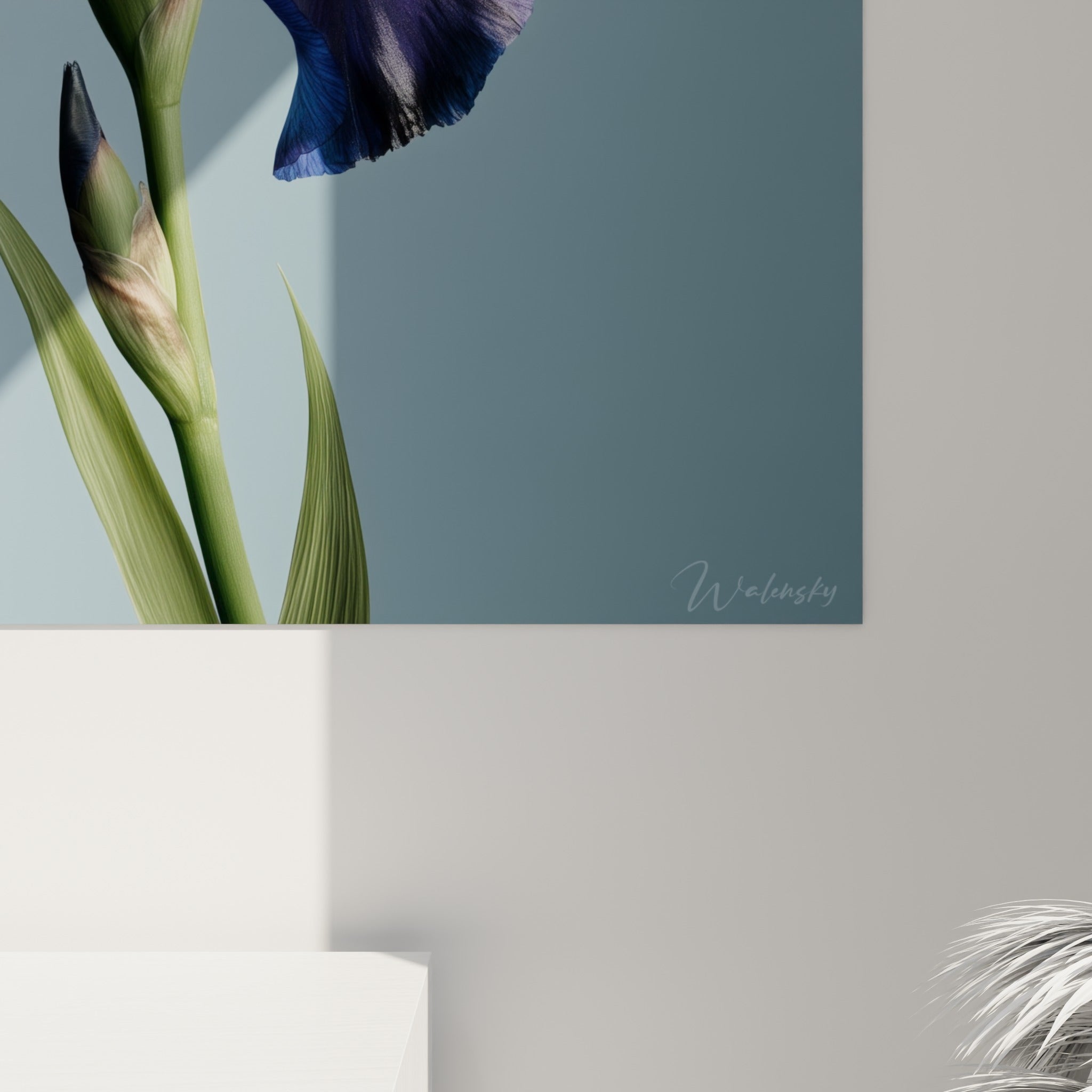 Grain et texture des pétales d'iris violet et doré, coulures fines sur fond bleu gris