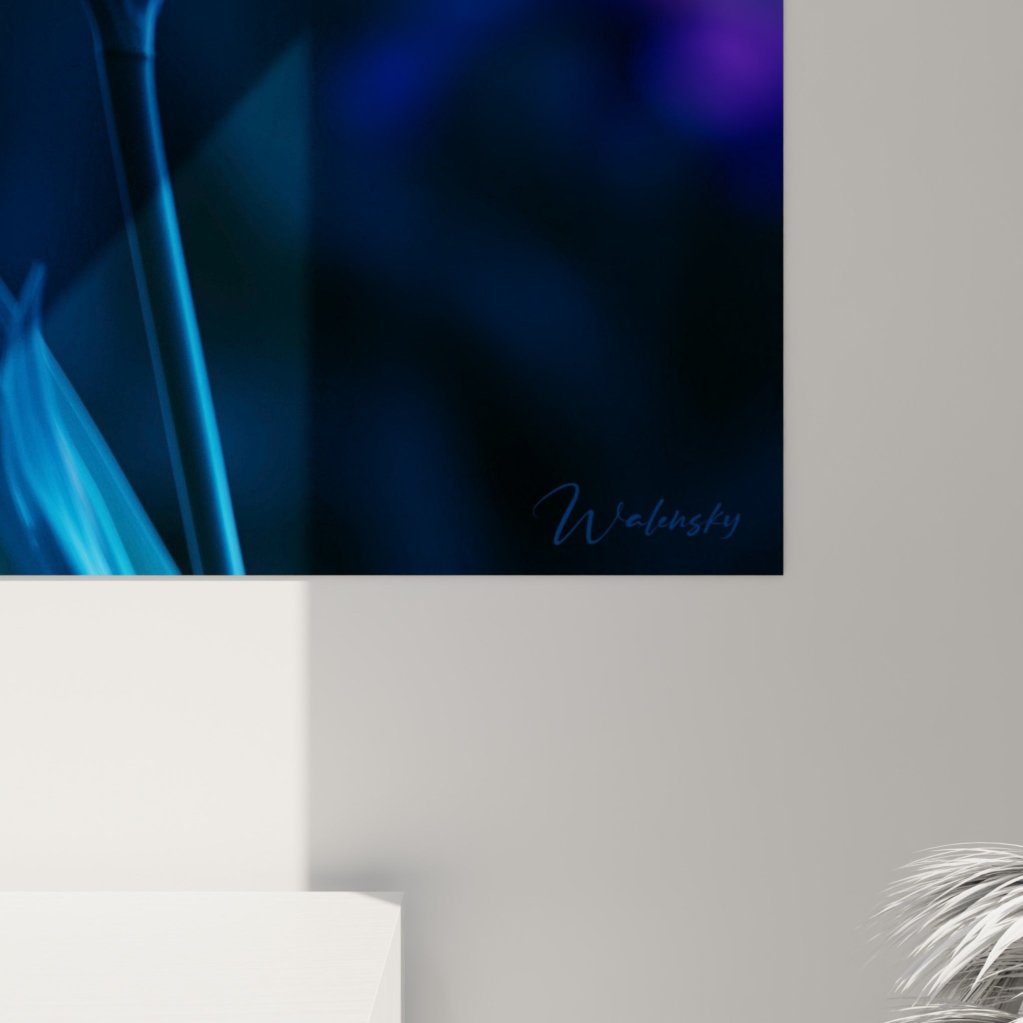 Texture soyeuse des pétales violets et nervures fines de l'iris visibles de près, contrastant avec le fond bleu sombre