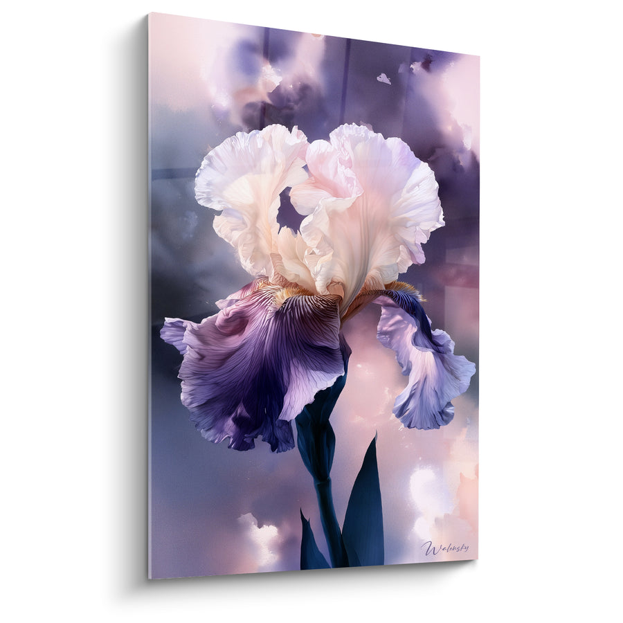 Tableau Iris blanc et violet aux pétales vaporeux - Fond nuageux rosé - Edition Iris