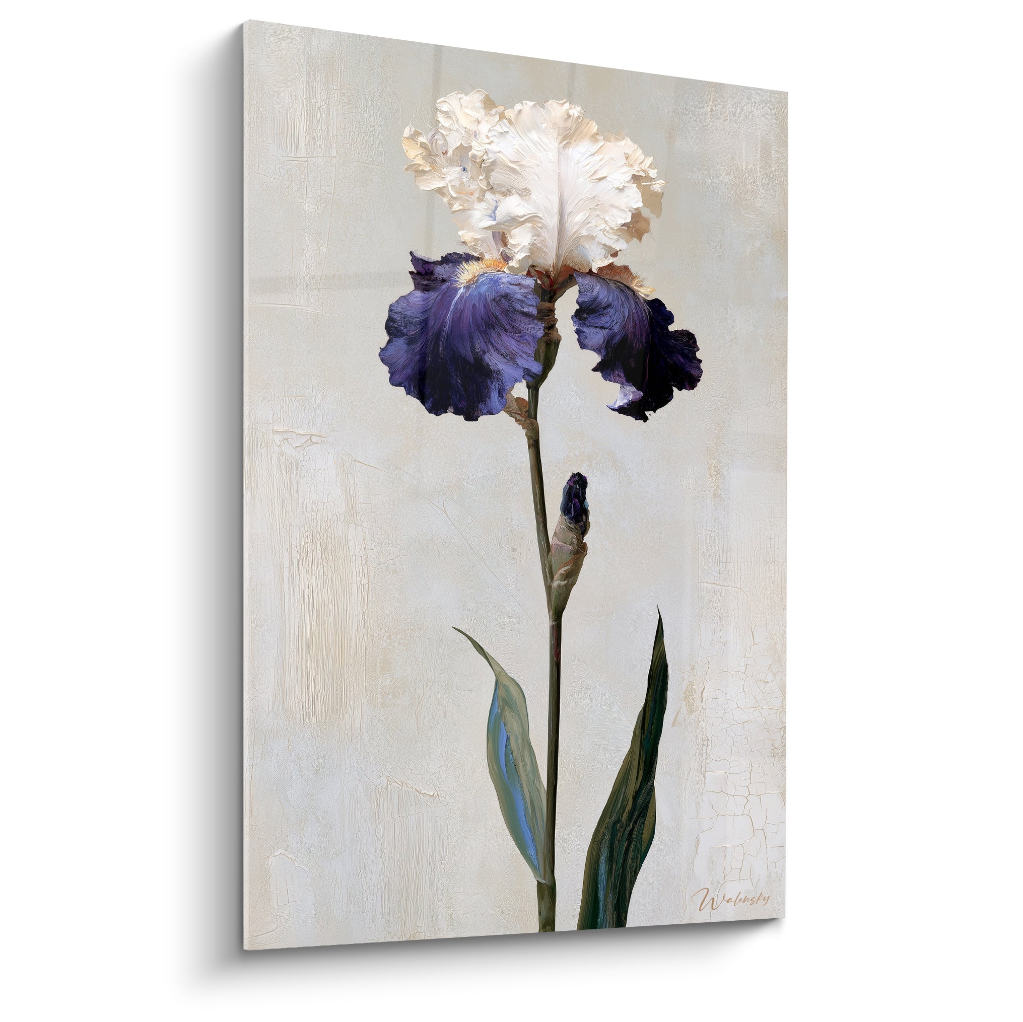 Iris violet et blanc crème peint en plein cadre, pétales froissés sur fond beige craquelé