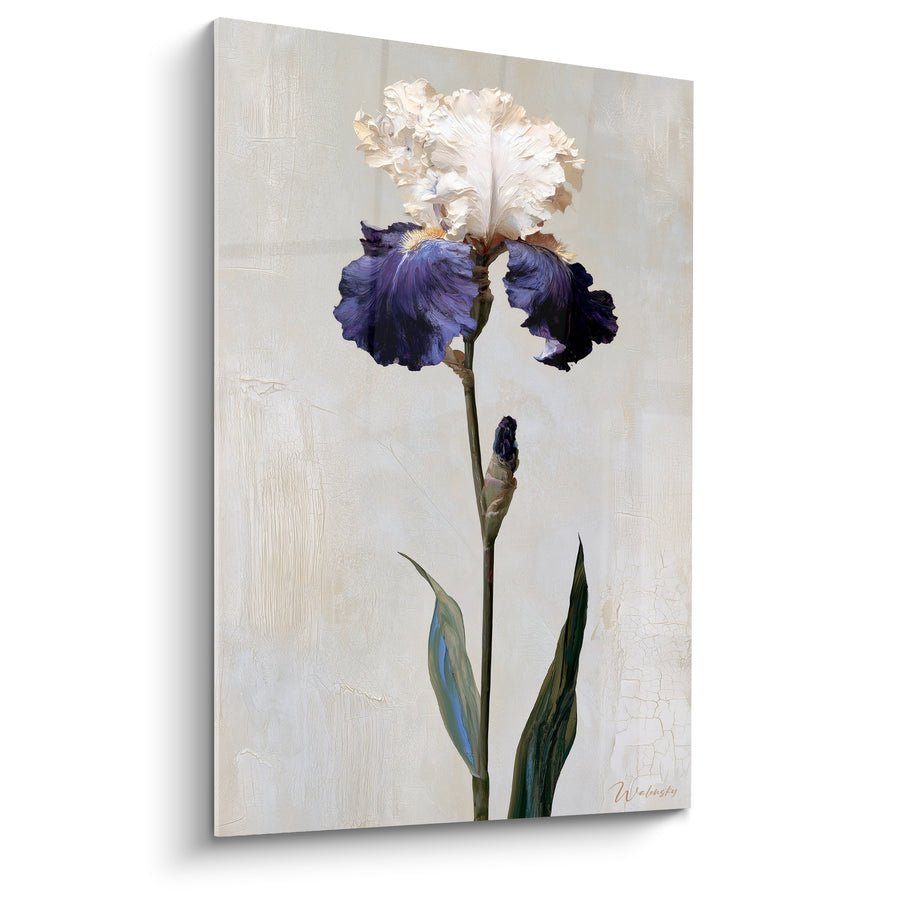 Tableau Iris ivoire et violet foncé au bouton refermé - Feuilles vert pâle effilées - Edition Iris