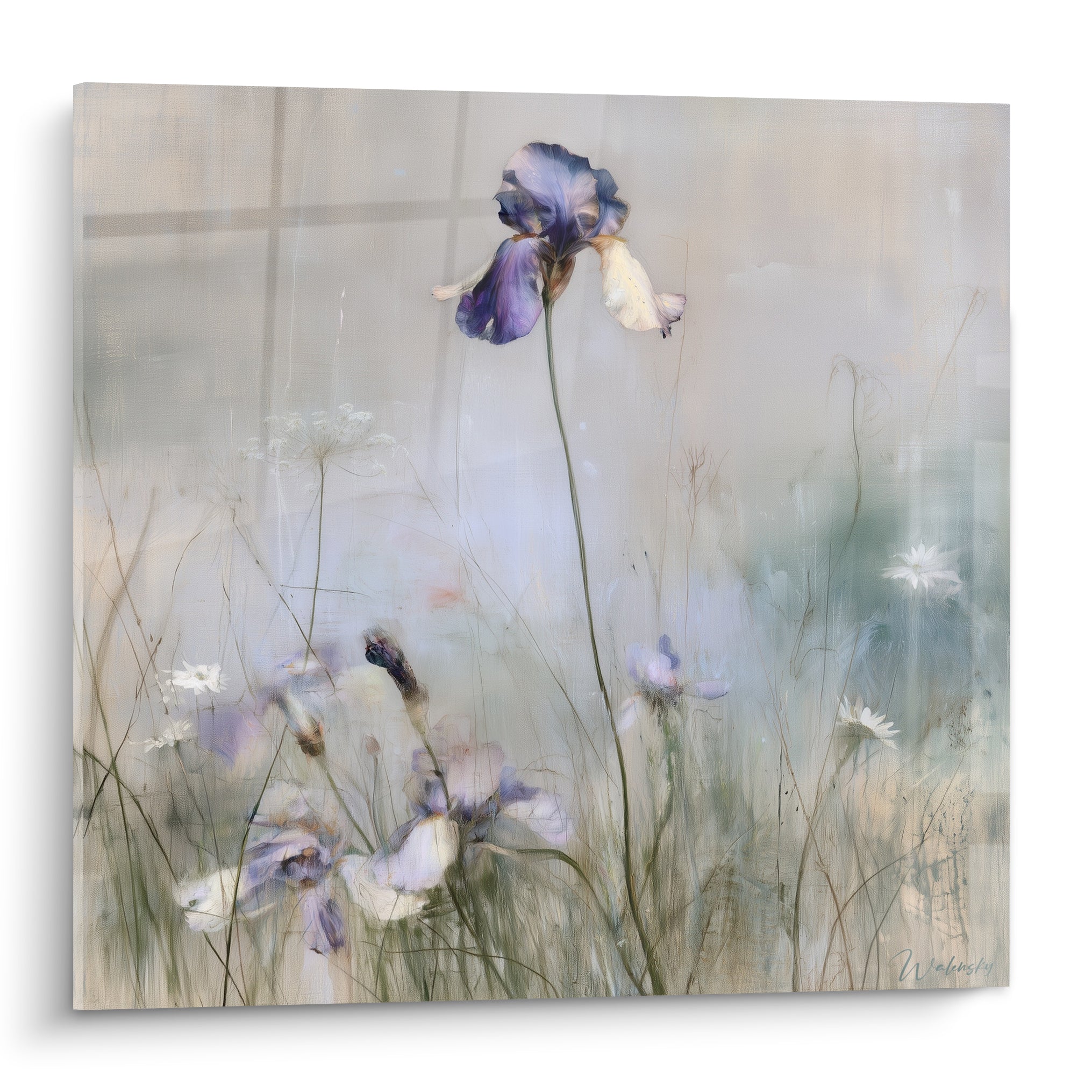 Iris violet et blanc se dresse au-dessus d'herbes folles dans une prairie embrumée grise