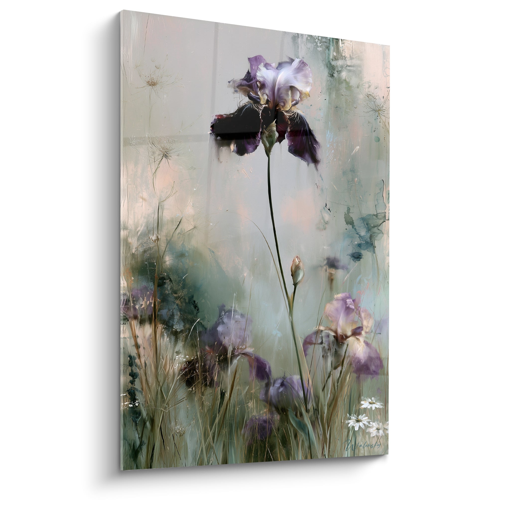 Iris violet et blanc dressé sur fond vert sauge et ocre dans un champ vaporeux