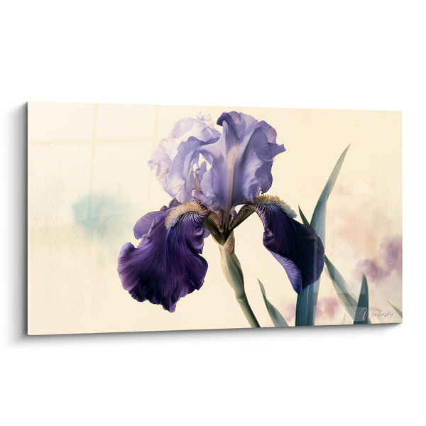 Tableau Iris violet et lavande à la barbe cuivrée - Fond ivoire quadrillé - Edition Iris