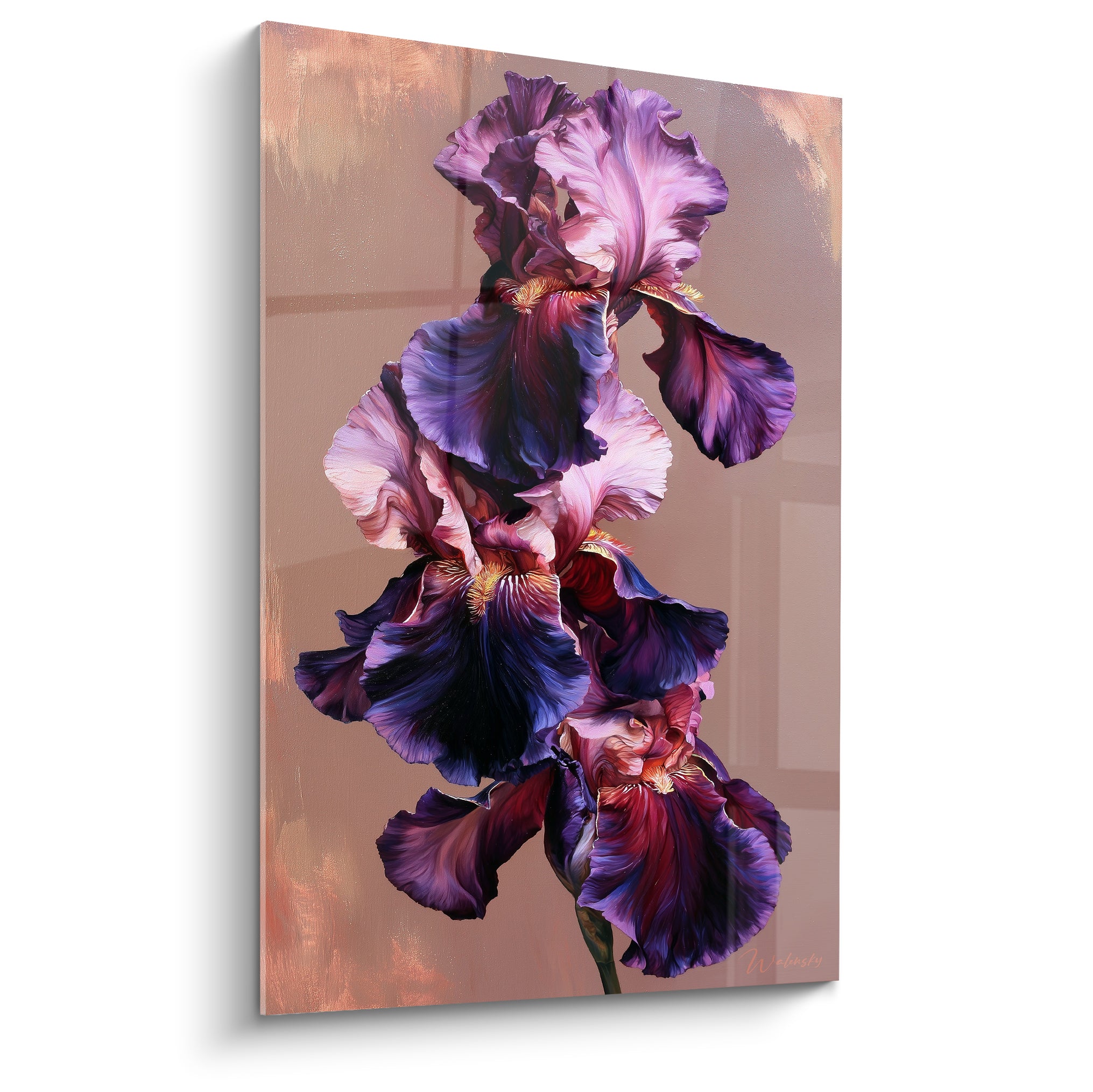 Iris aux pétales violets et rose poudré déployés sur fond terracotta texturé
