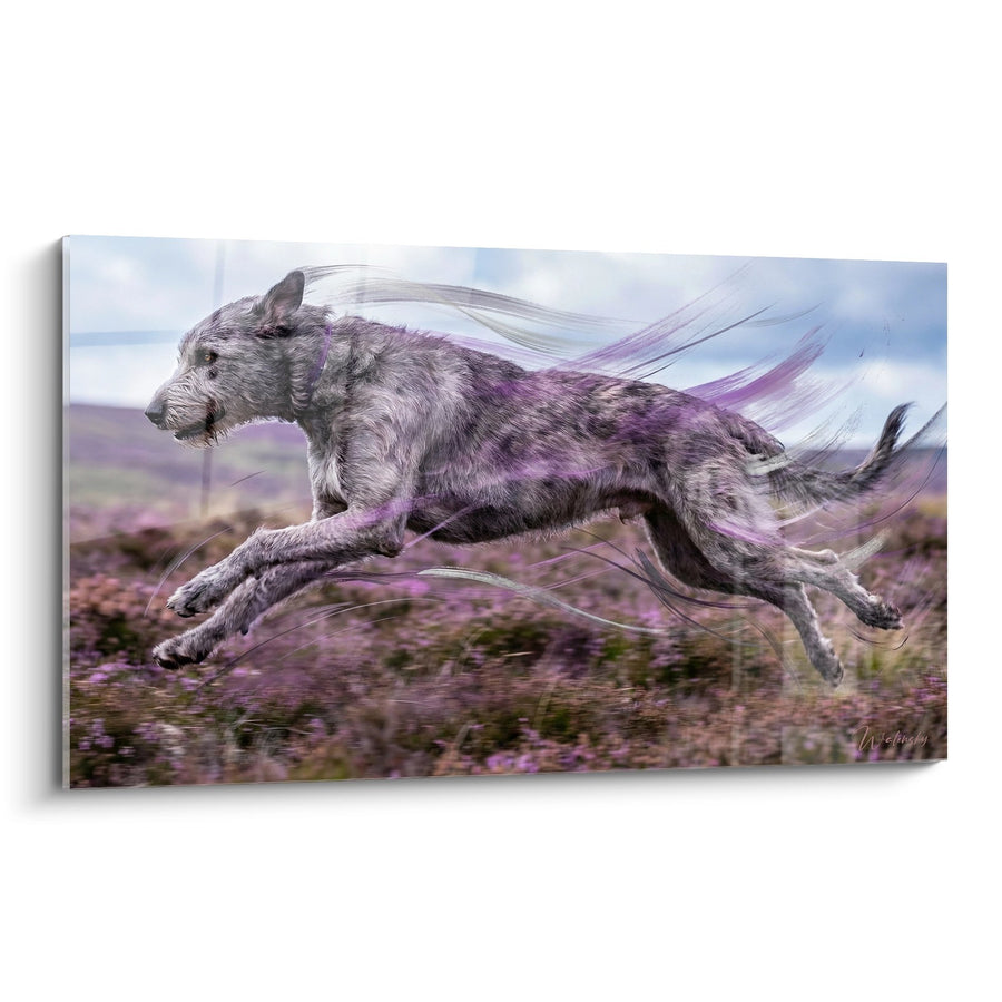 Tableau Irish Wolfhound aux Reflets Améthyste en Bond Spectaculaire - Grâce Mystique - Edition Irish Wolfhound