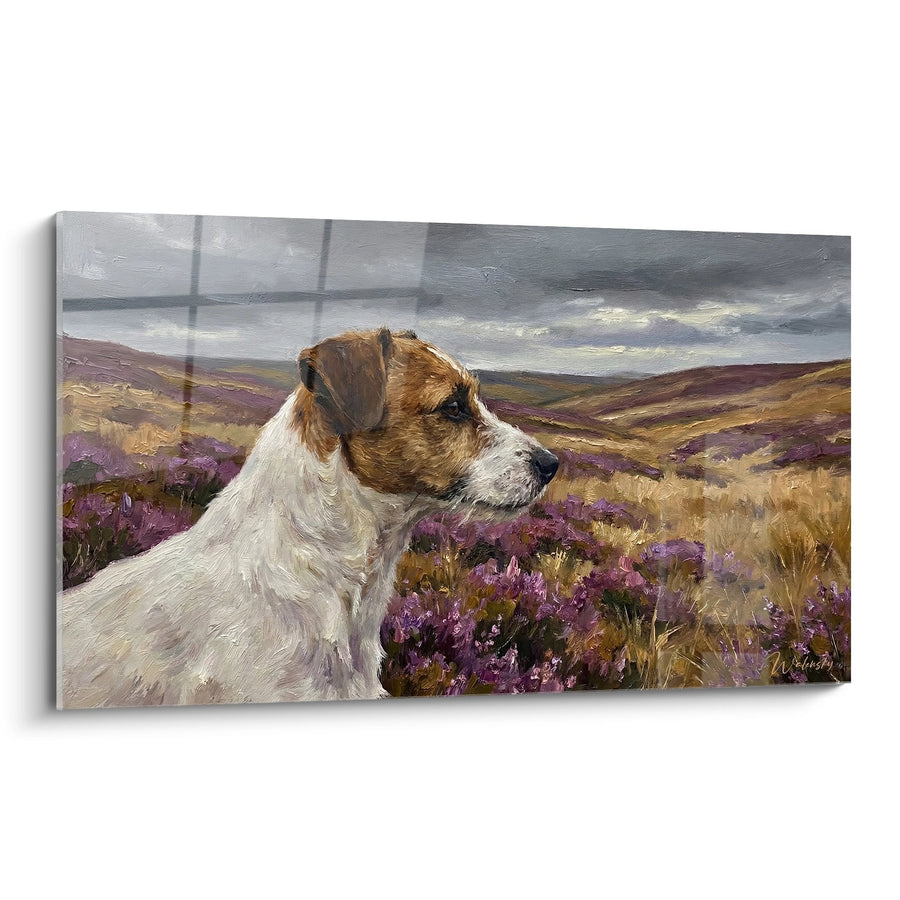Cuadro Jack Russell Terrier en Paisaje de Bruyeras Violetas - Contemplación Campestre - Edición Jack Russell Terrier