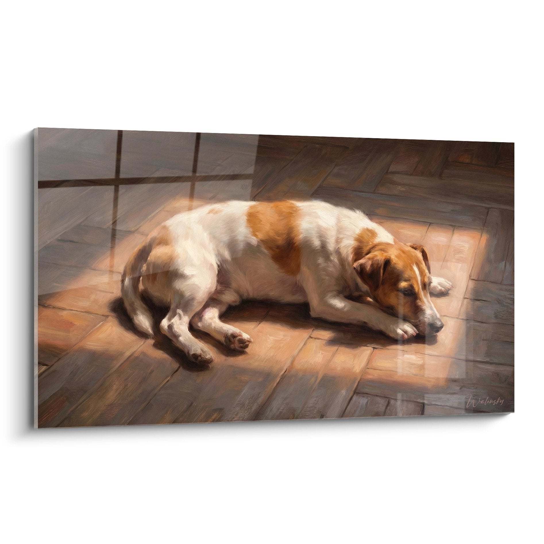 tableau jack russel terrier couche soleil parquet chevrons peinture aquarelle chien roux blanc lumiere doree