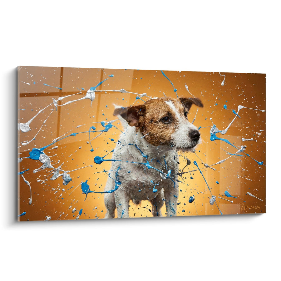 Gemälde Hund Farbspritzer - Künstlerische Explosion - Ausgabe Jack Russel Terrier