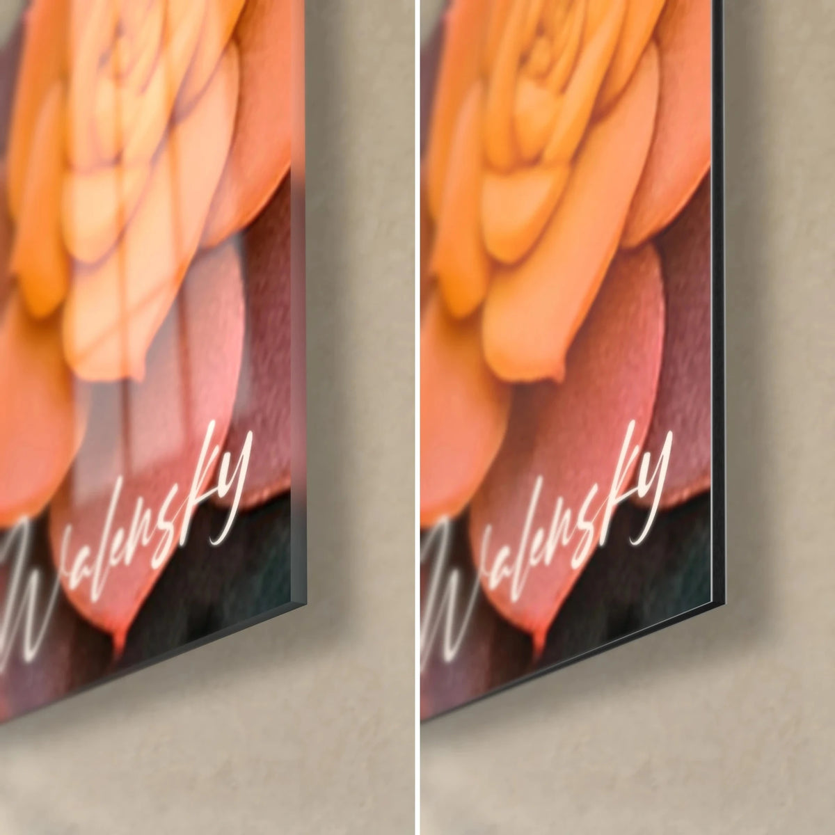 Wall art of apricot orange echeveria, bottom right corner: glossy acrylic glass on the left, matte Dibond on the right, 3 mm edge