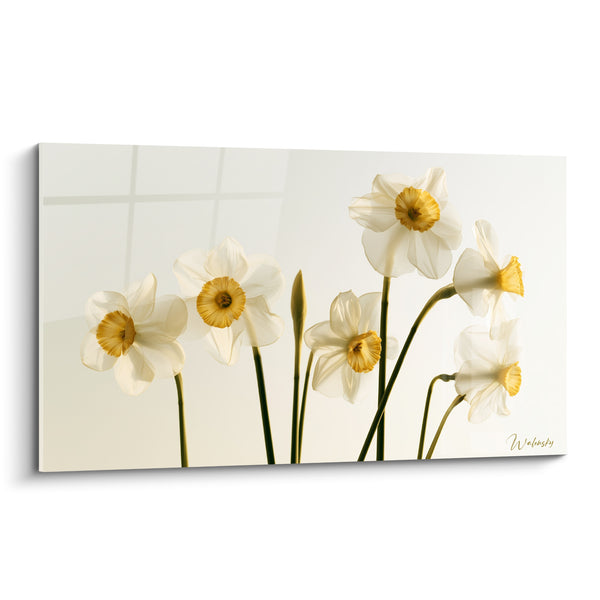 Tableau Jonquilles blanches et jaunes aux tiges arquées - Bouton fermé central - Edition Jonquille