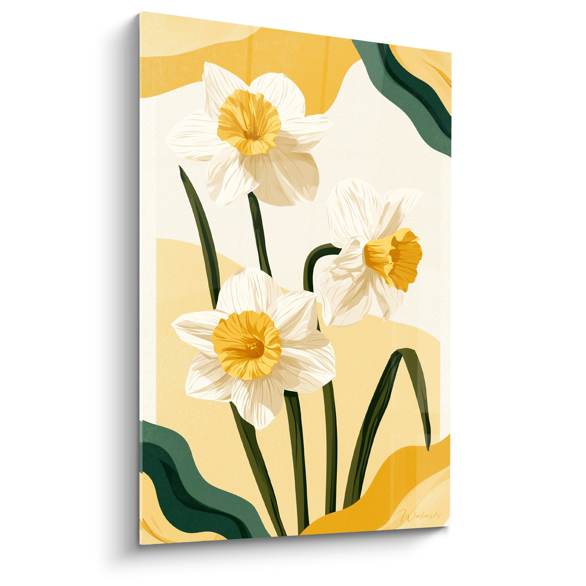 Jonquilles blanches au cœur jaune safran sur fond ocre et vert sapin illustré