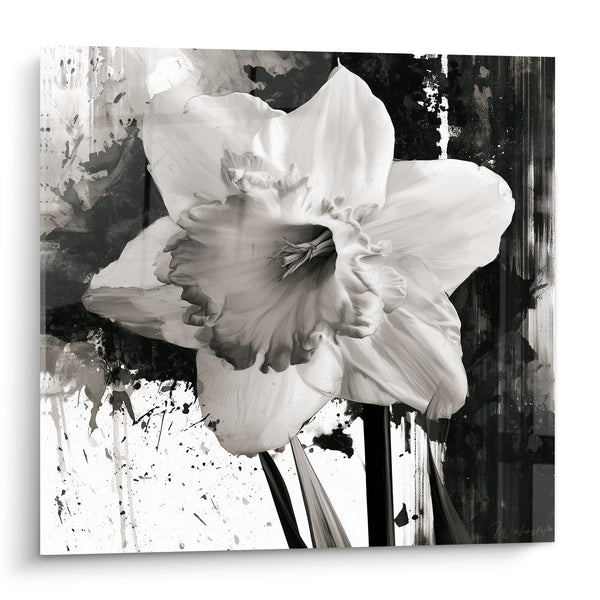 Tableau Jonquille blanche aux éclaboussures noires - Éclosion contrastée - Edition Jonquille