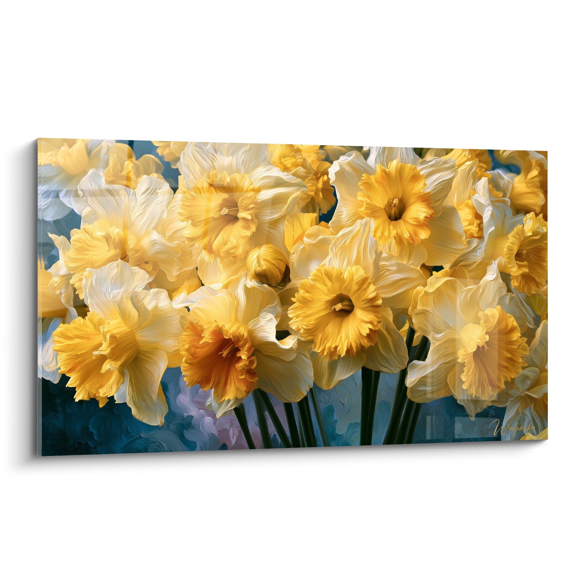 Jonquilles blanches et dorées aux cœurs orangés, pétales ondulés sur fond bleu marine profond