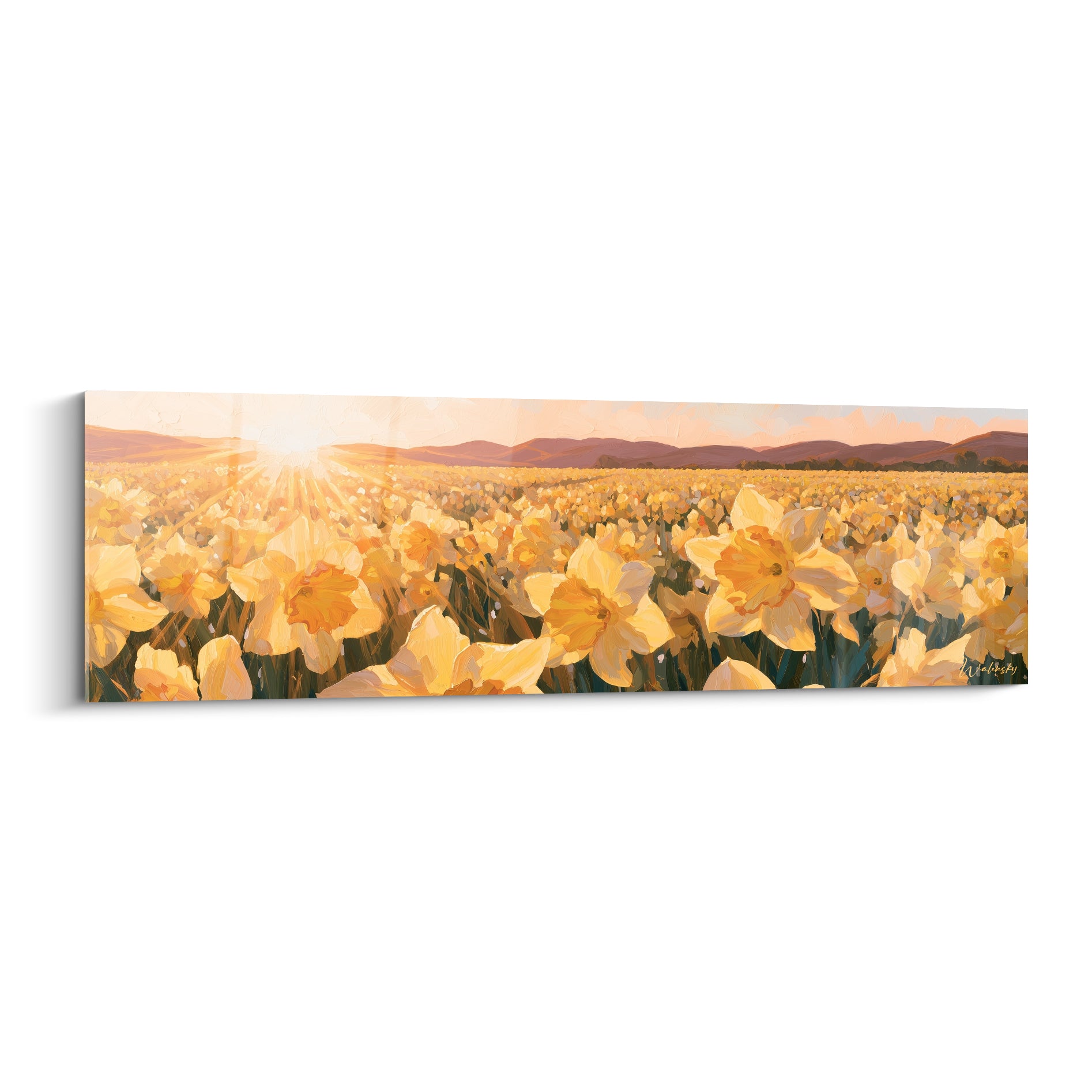 Champ de jonquilles jaune et orangé baigné de lumière dorée sous un ciel rosé au lever du soleil