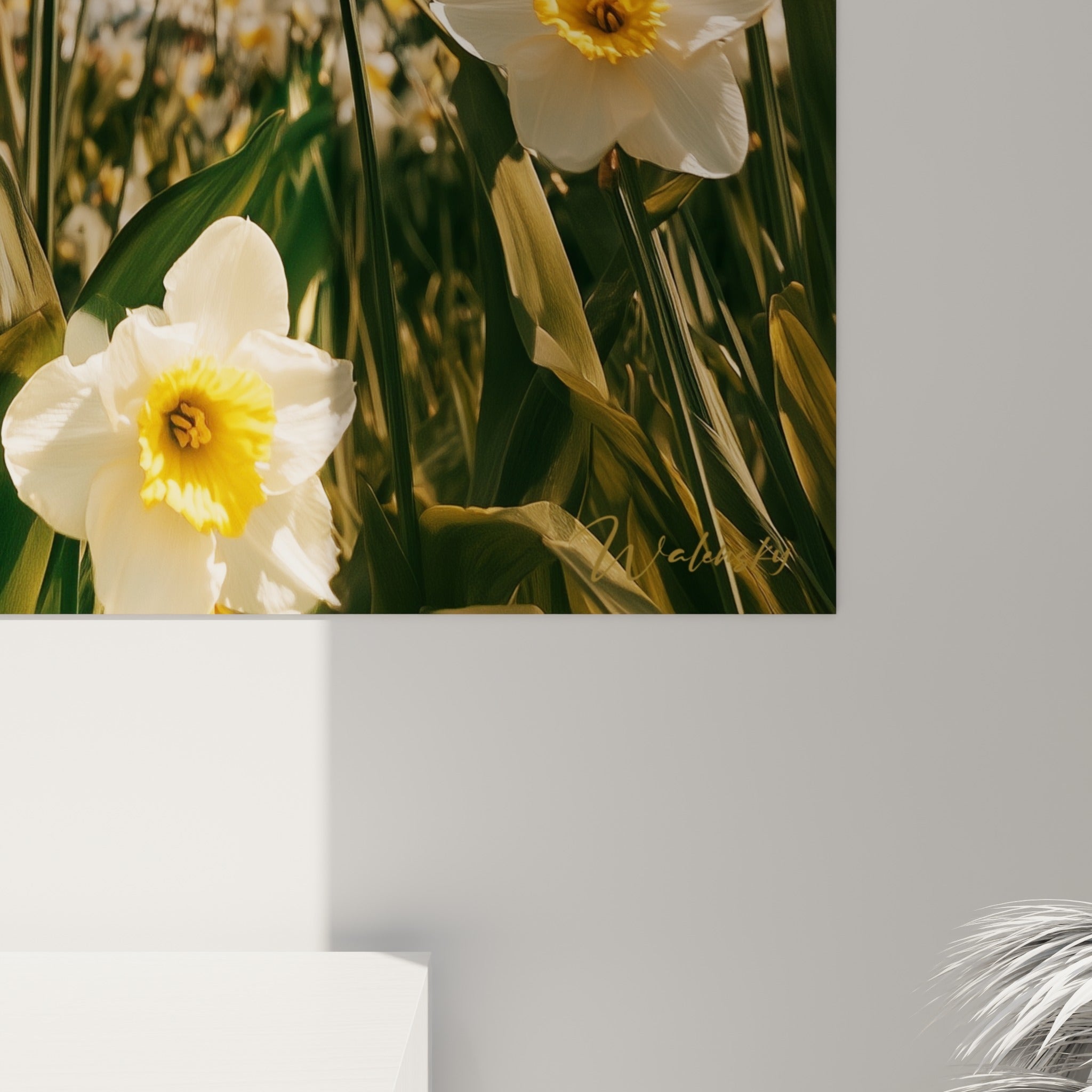 Détail des pétales blancs et du cœur jaune d'une jonquille, grain de l'impression et nuances turquoise visibles