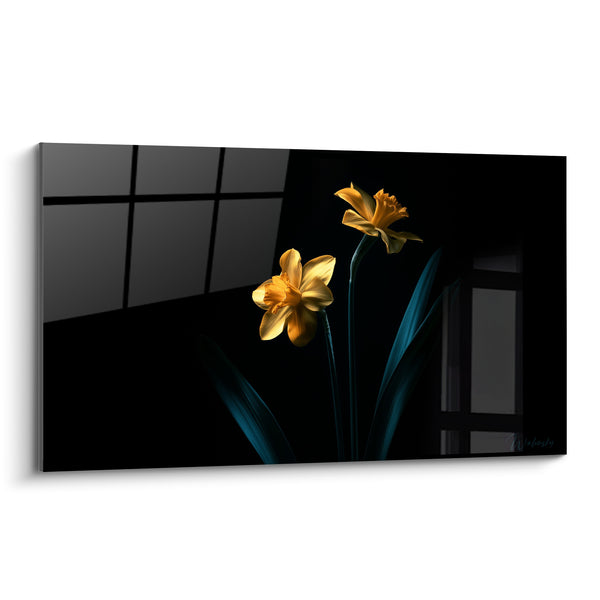 Tableau Jonquilles dorées sur fond noir profond - Lueur nocturne - Edition Jonquille