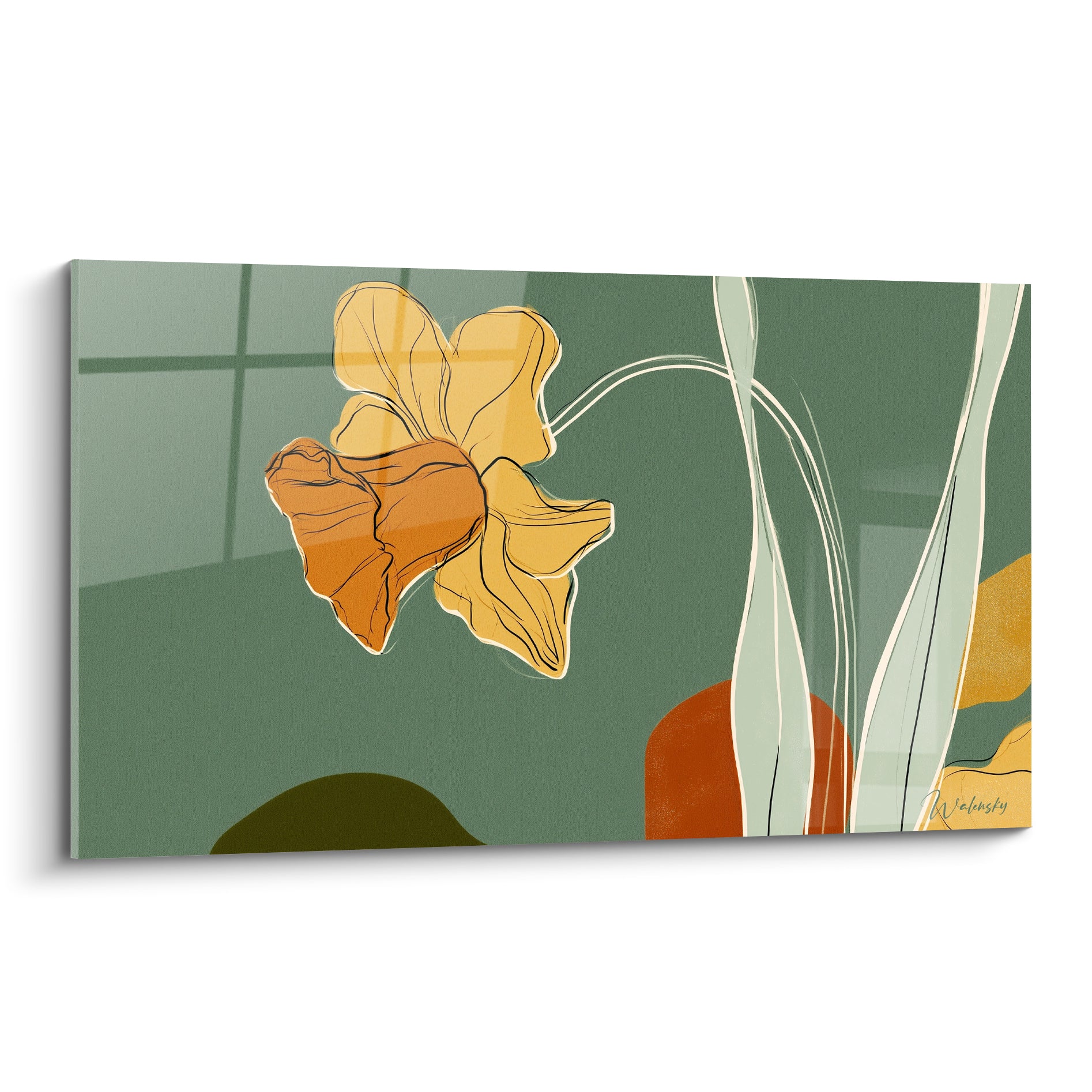 Jonquille dorée et terracotta illustrée sur fond vert sauge, trait noir graphique et tiges élancées