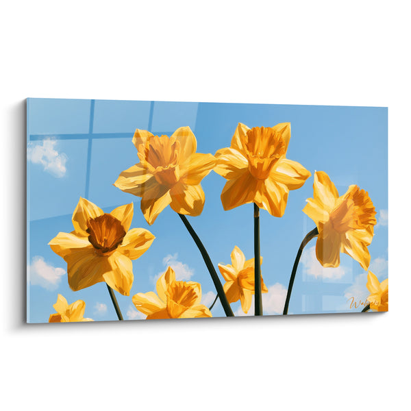 Tableau Jonquilles jaunes et bleu ciel vers nuages cotonneux - Vue en contre-plongée - Edition Jonquille