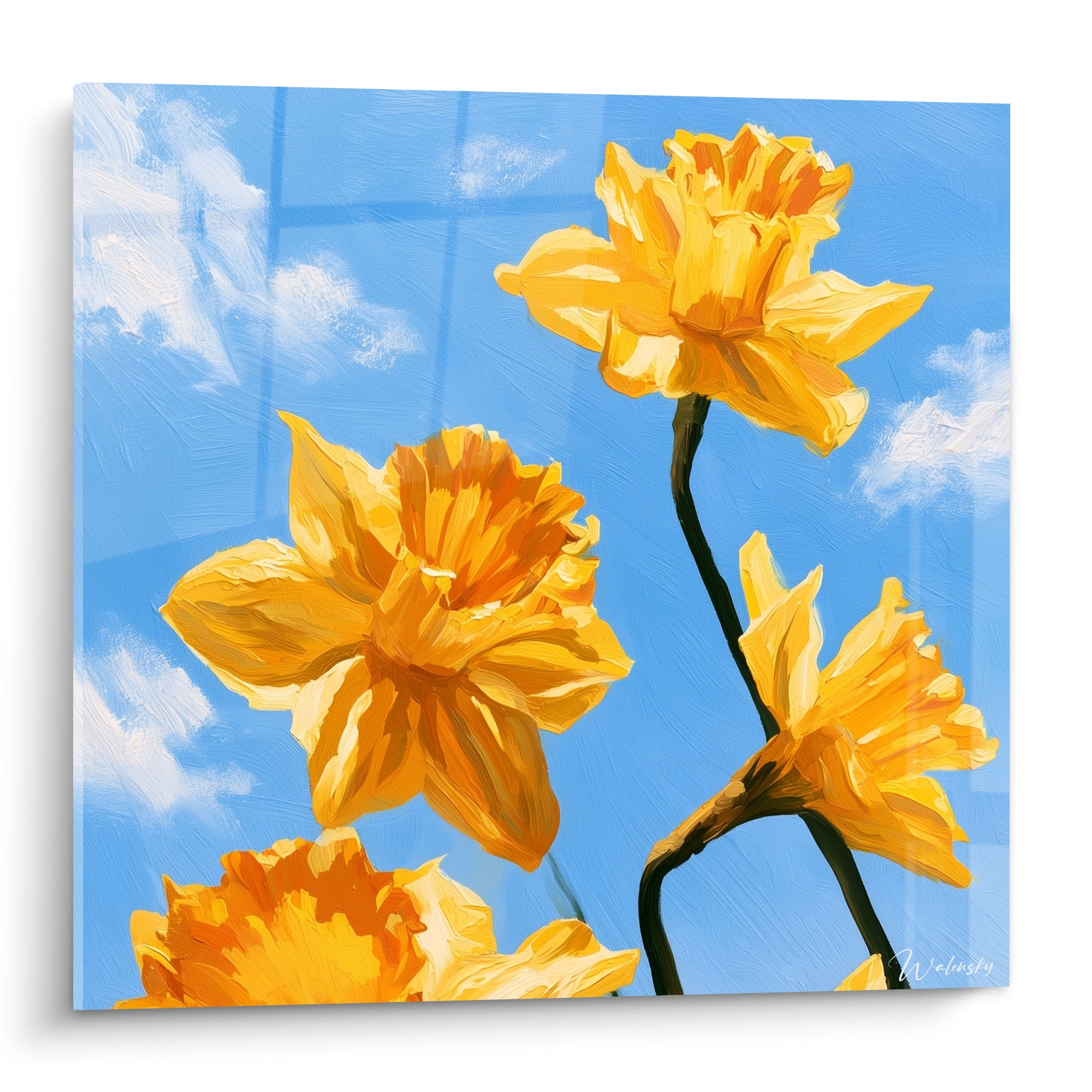 Jonquilles jaune et orangé aux pétales largement ouverts sur fond de ciel bleu nuageux