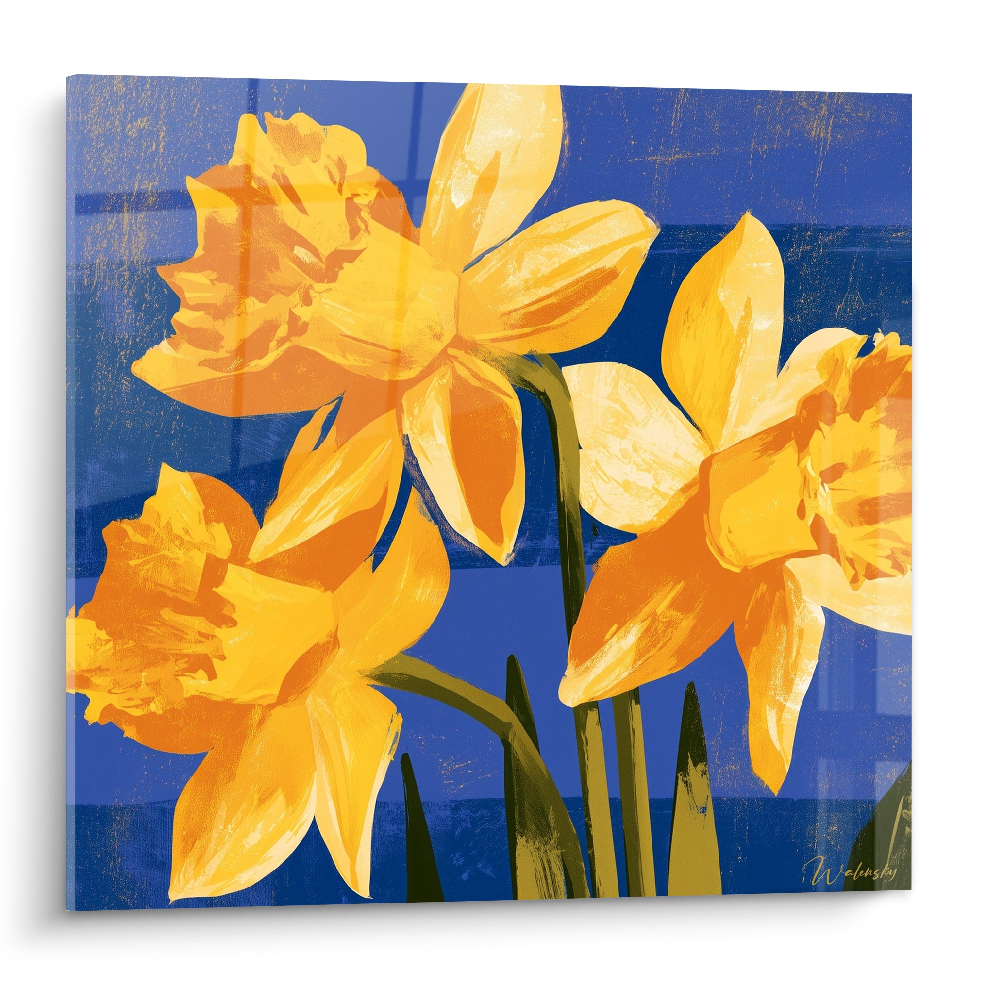Jonquilles jaune safran et orange sur fond bleu marine strié, composition florale en gros plan
