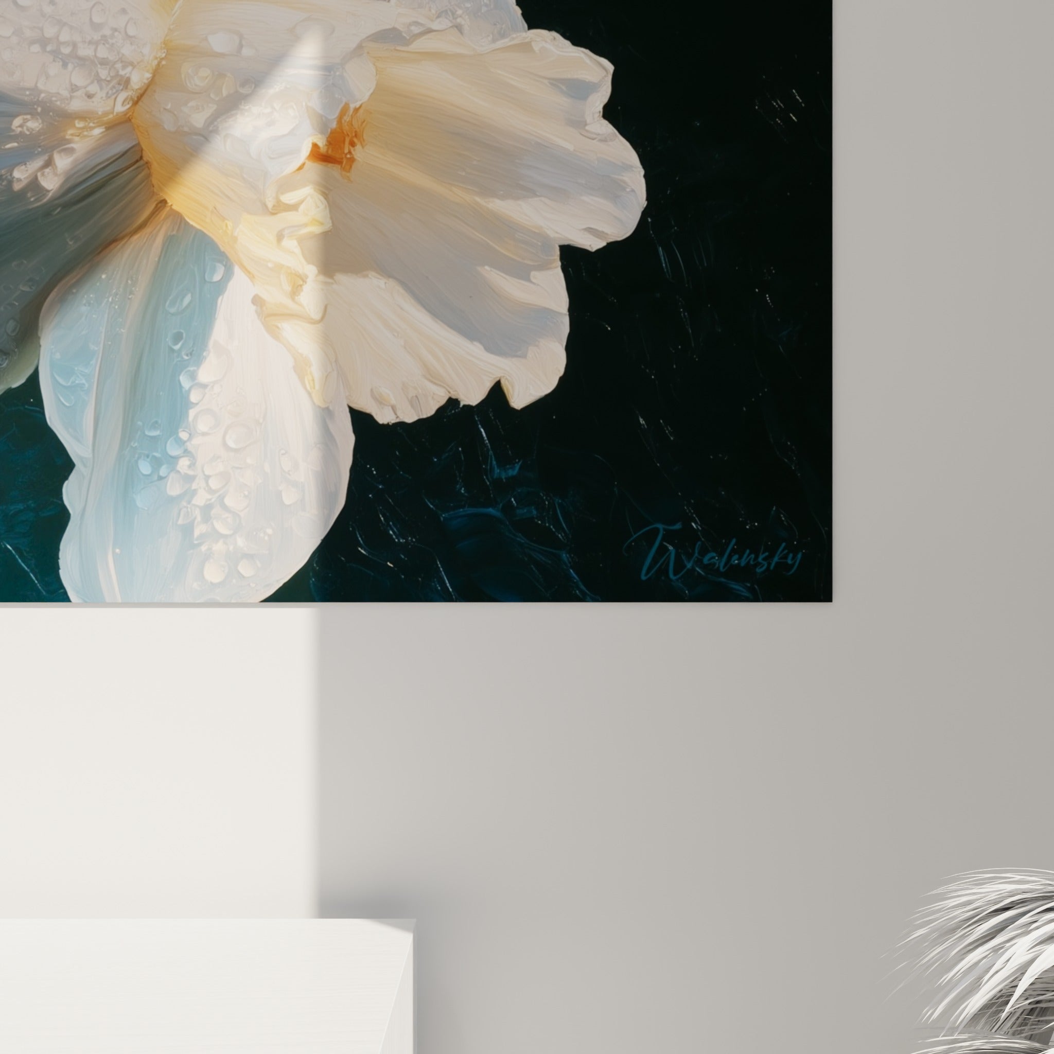 Gouttes de rosée et texture veloutée des pétales blancs et dorés de la jonquille