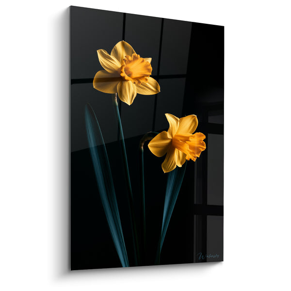 Tableau Jonquilles jaunes et noires près d'une fenêtre quadrillée - Deux corolles orangées - Edition Jonquille
