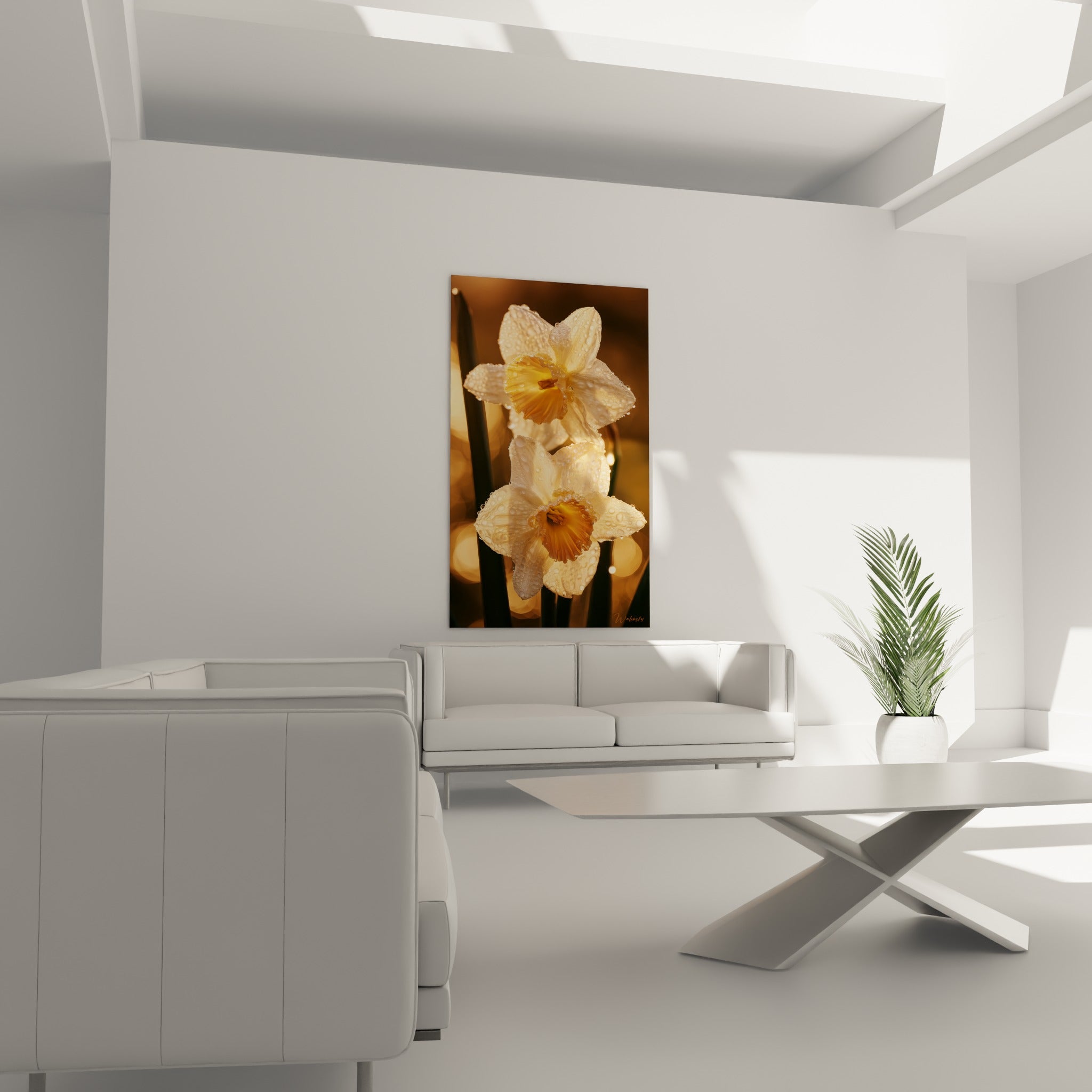 Fleurs de jonquille dorées et crème couvertes de rosée, au-dessus d'un canapé dans un salon lumineux