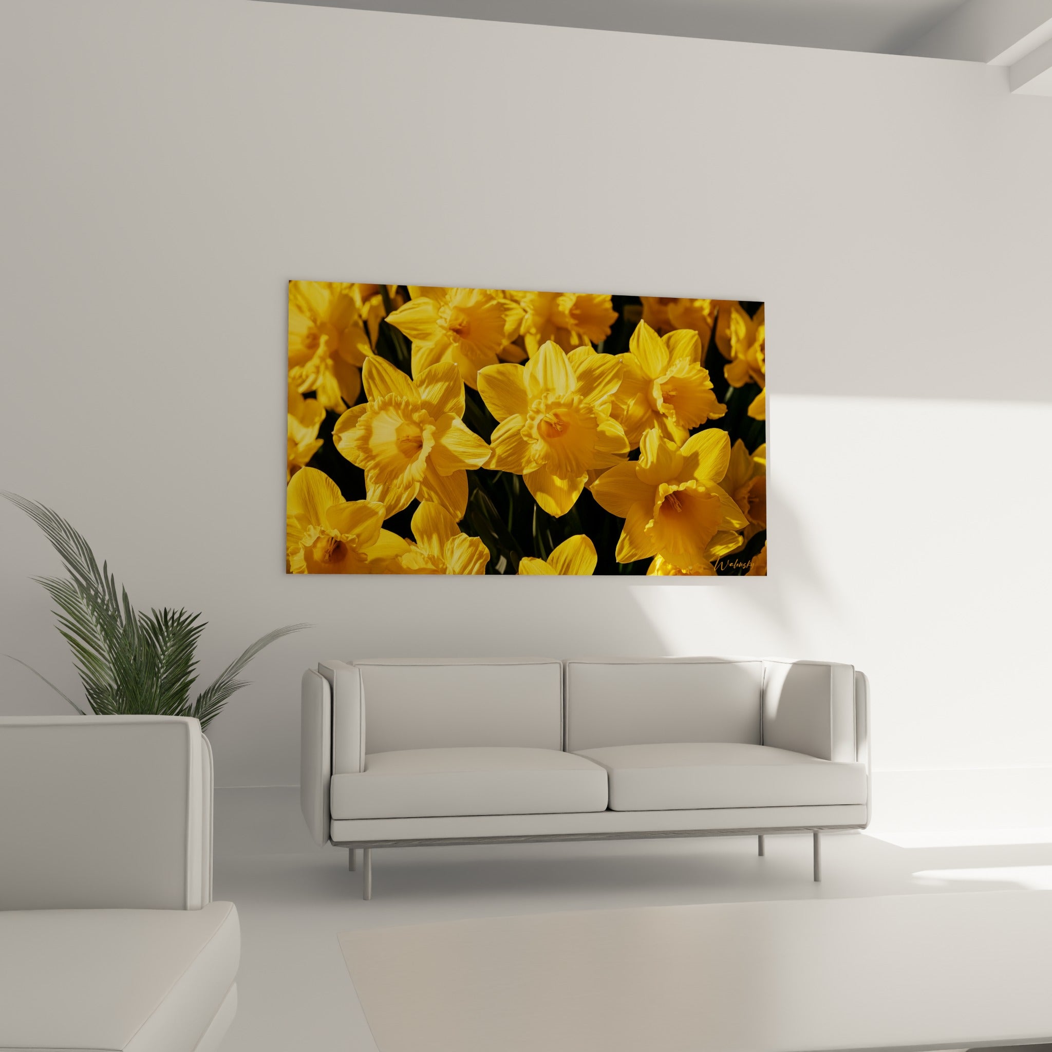 Pétales de jonquilles dorées et vertes disposés au-dessus d'un canapé dans un salon lumineux