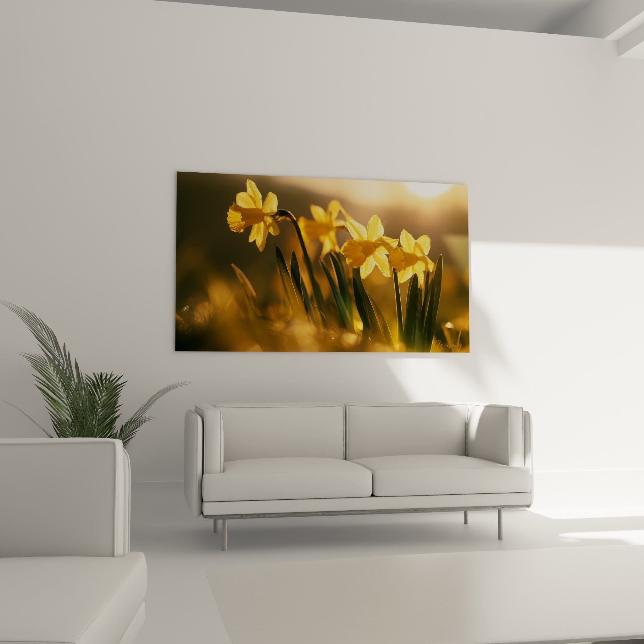 Fleurs de jonquille jaunes et ambrées au-dessus d'un canapé dans un salon lumineux