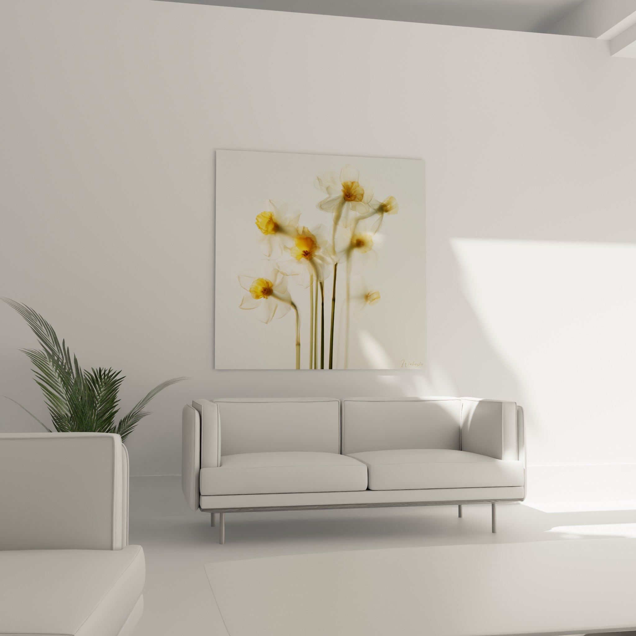 Fleurs de jonquille aux tons blancs et jaune ocre suspendues au-dessus d'un canapé dans un salon lumineux