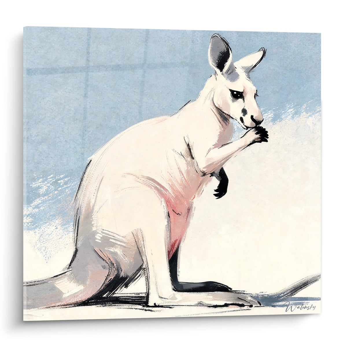 Kangourou blanc assis, ventre rose pâle et fond bleu poudré esquissé au trait noir