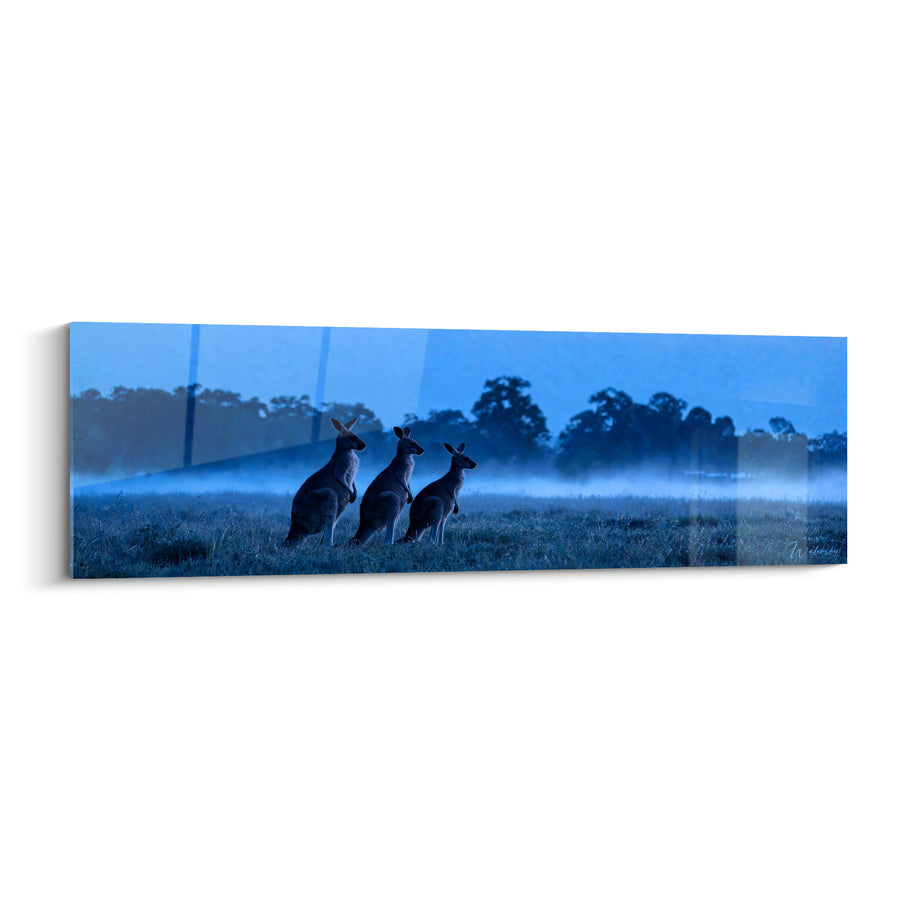 Tableau Trois kangourous silhouettés dans la brume bleue - Veille avant l'aube - Edition Kangourou