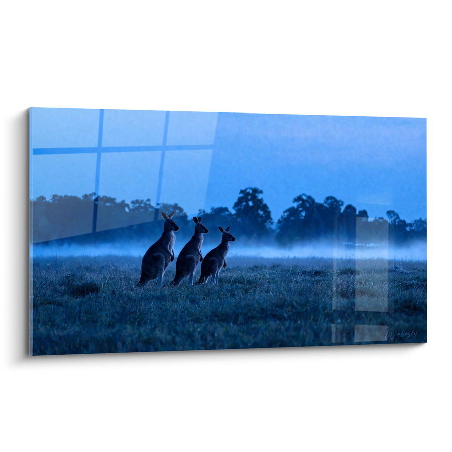Tableau Trois kangourous silhouettes bleu nuit brumeux - Veille dans la brume - Edition Kangourou